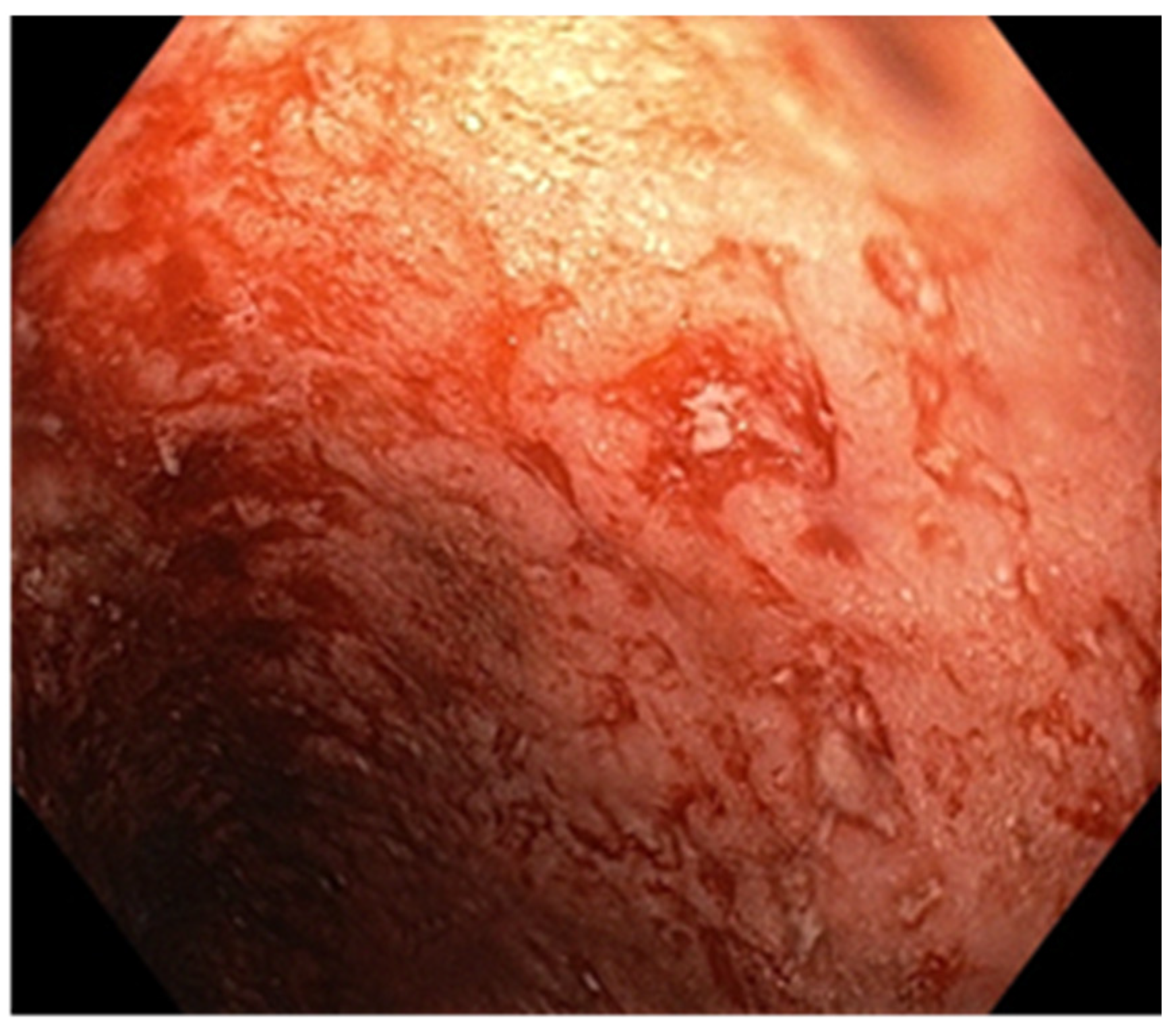 Pathogens 13 00650 g004 Pathogens 13 00650 g004