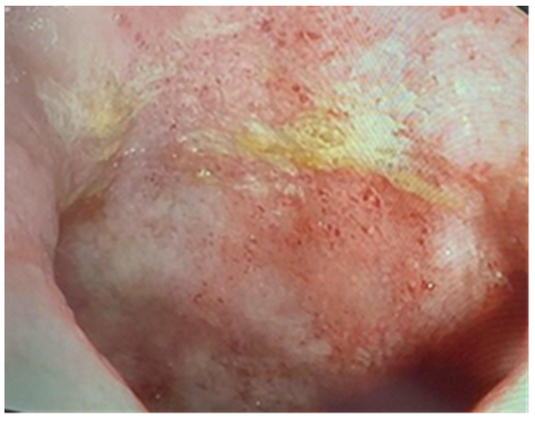 Pathogens 13 00650 g007 Pathogens 13 00650 g007