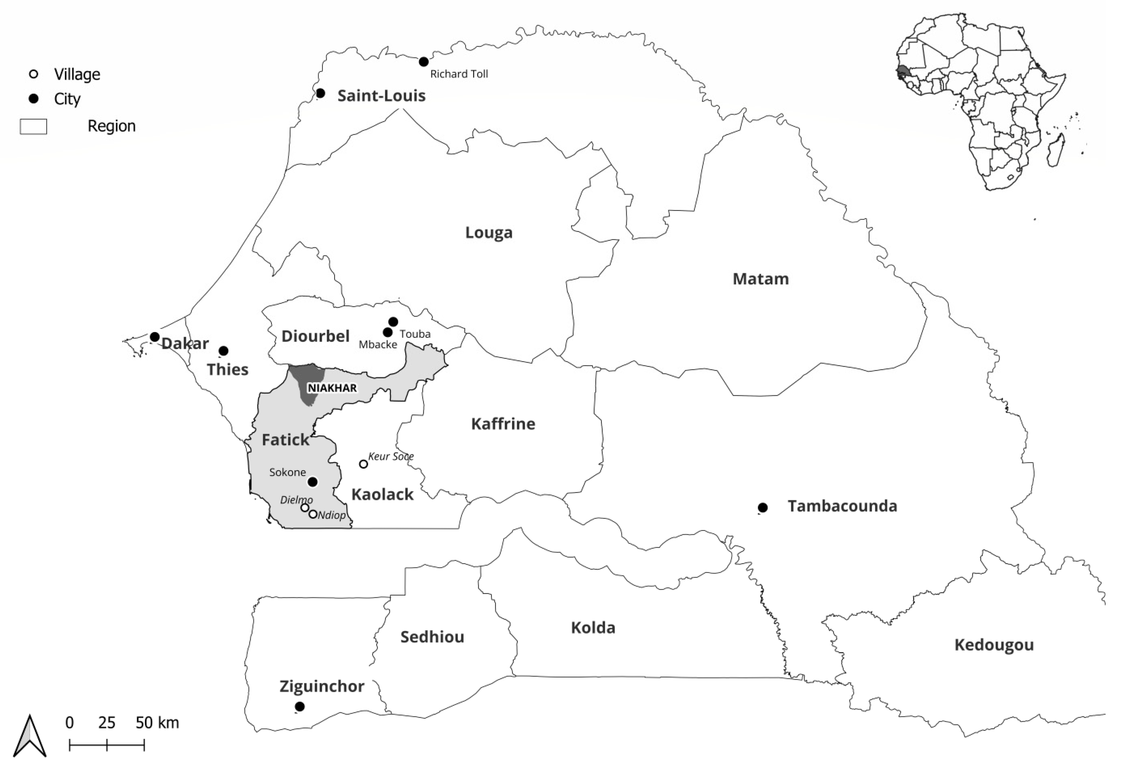 Pathogens 13 00655 g001 Pathogens 13 00655 g001