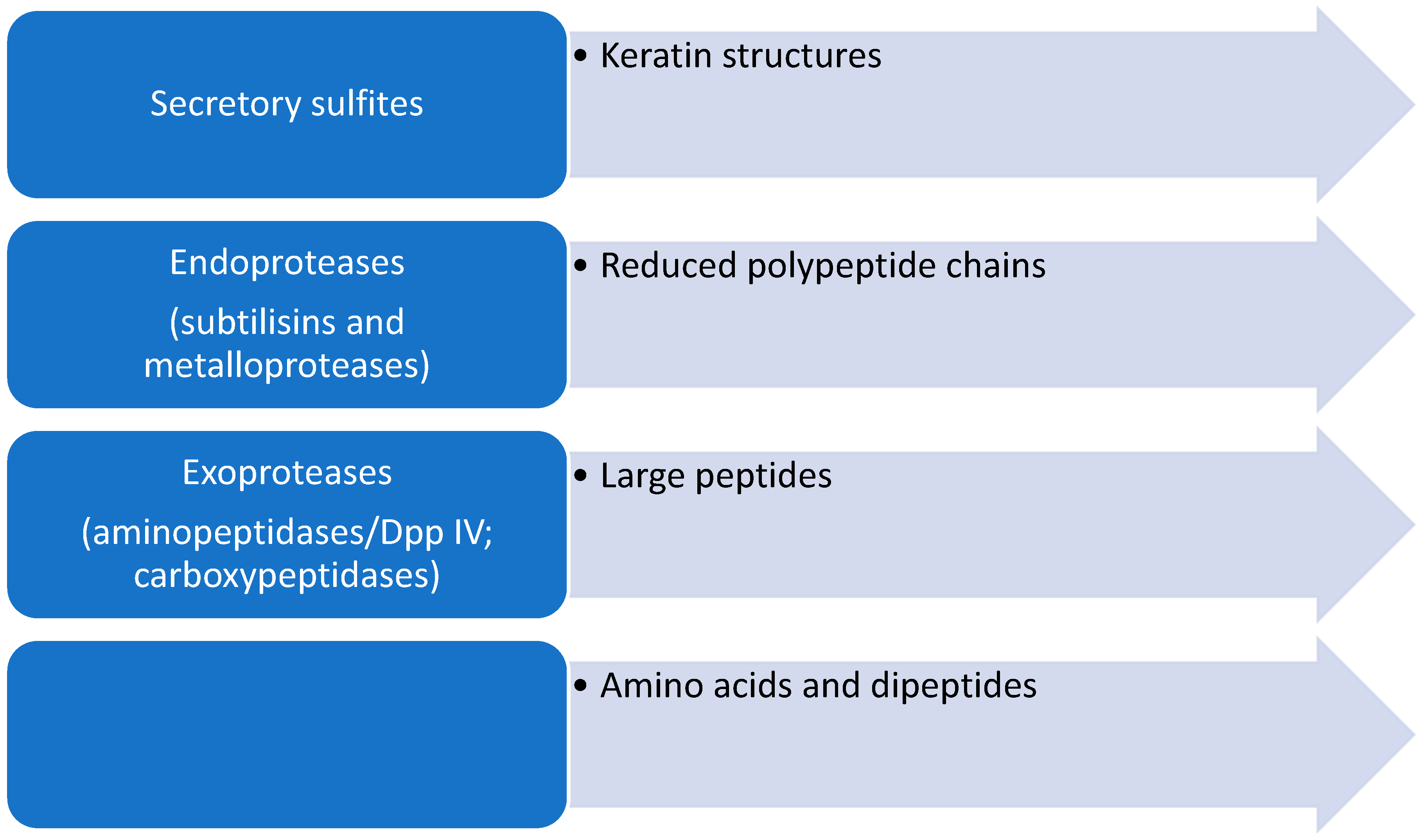 Pathogens 13 00657 g002