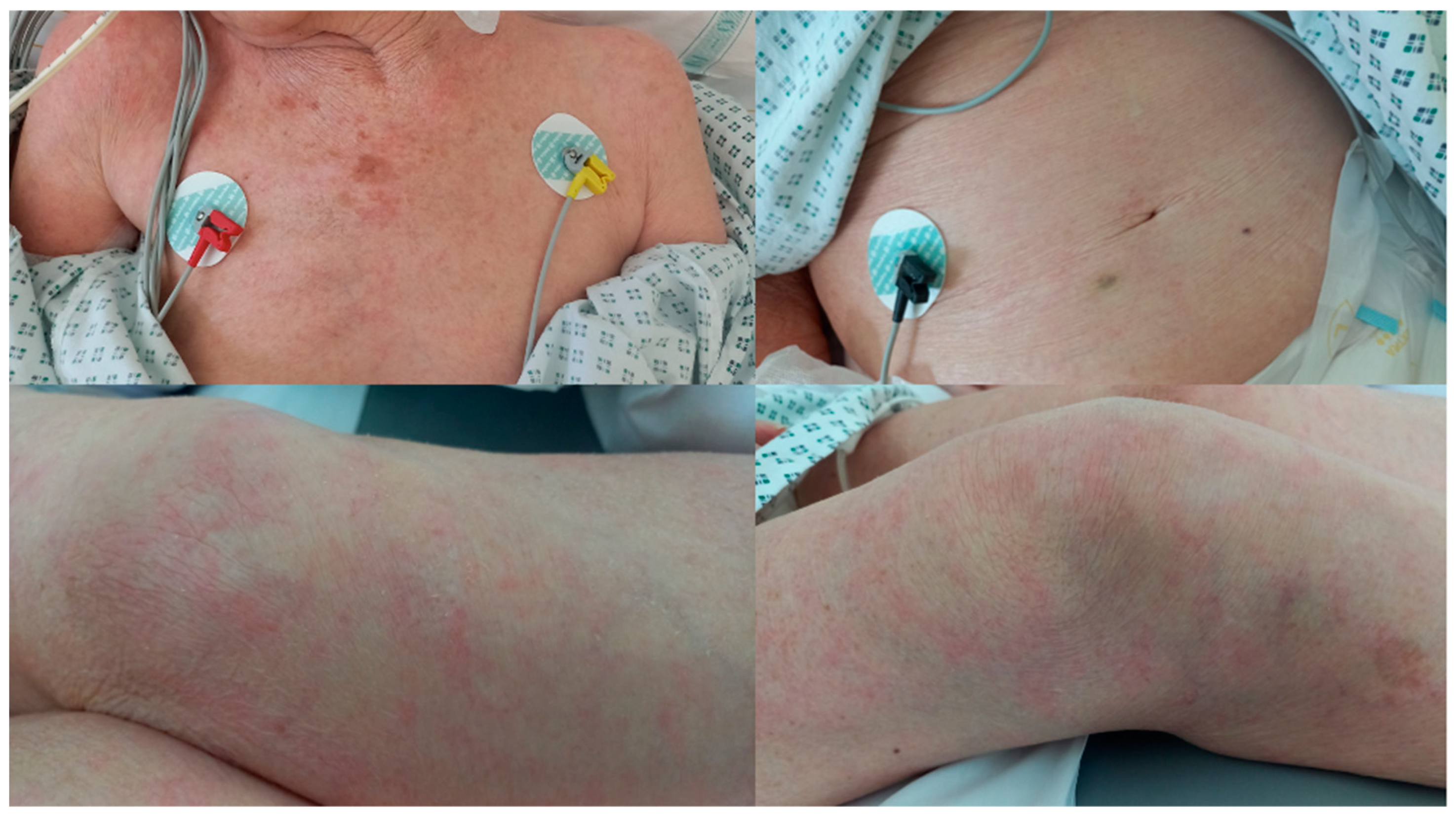 Pathogens 13 00658 g002