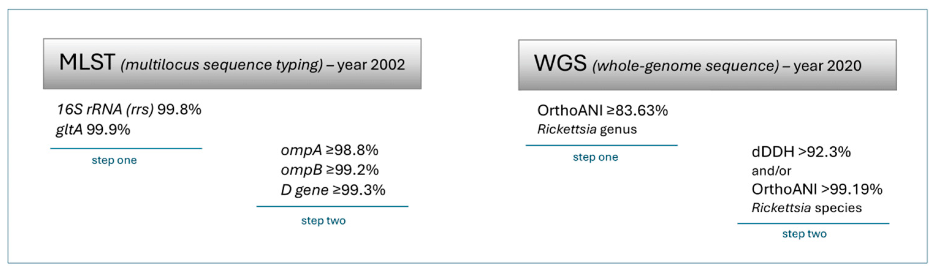 Pathogens 13 00661 g001