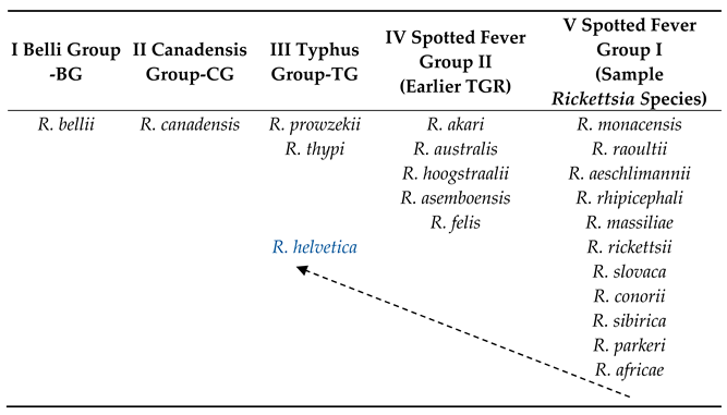Pathogens 13 00661 i001 Pathogens 13 00661 i001