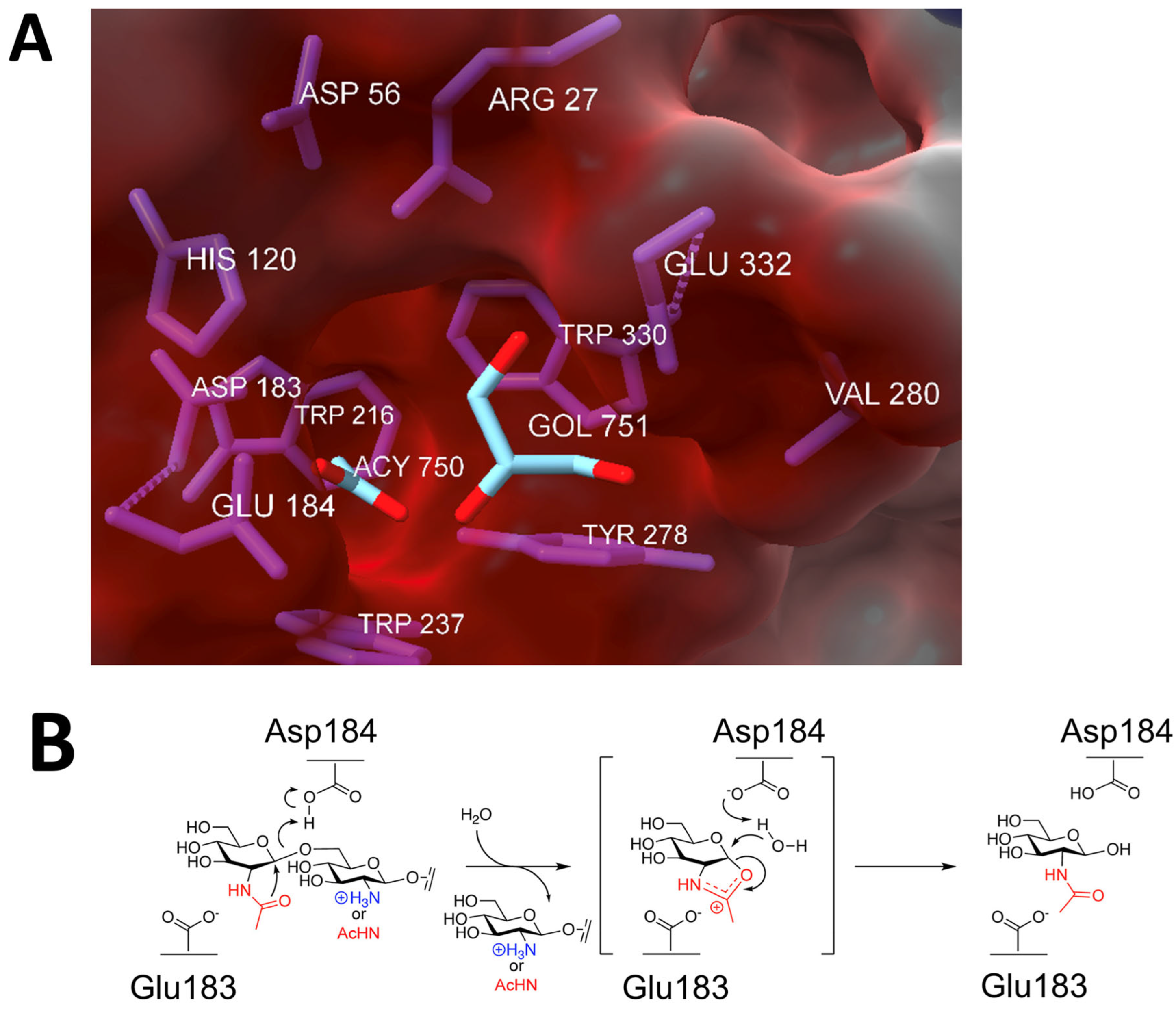 Pathogens 13 00668 g004
