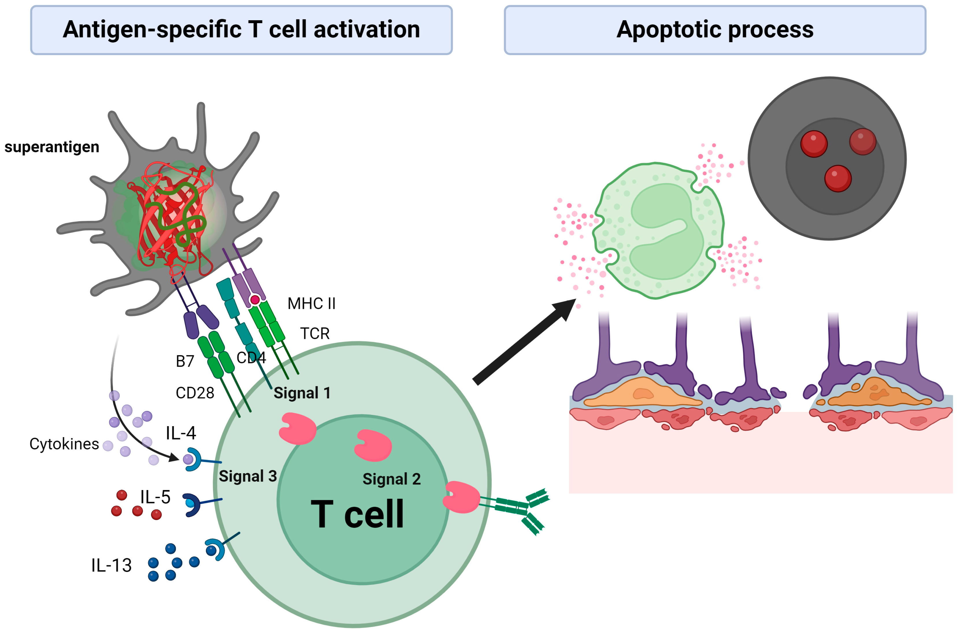 Pathogens 13 00676 g002