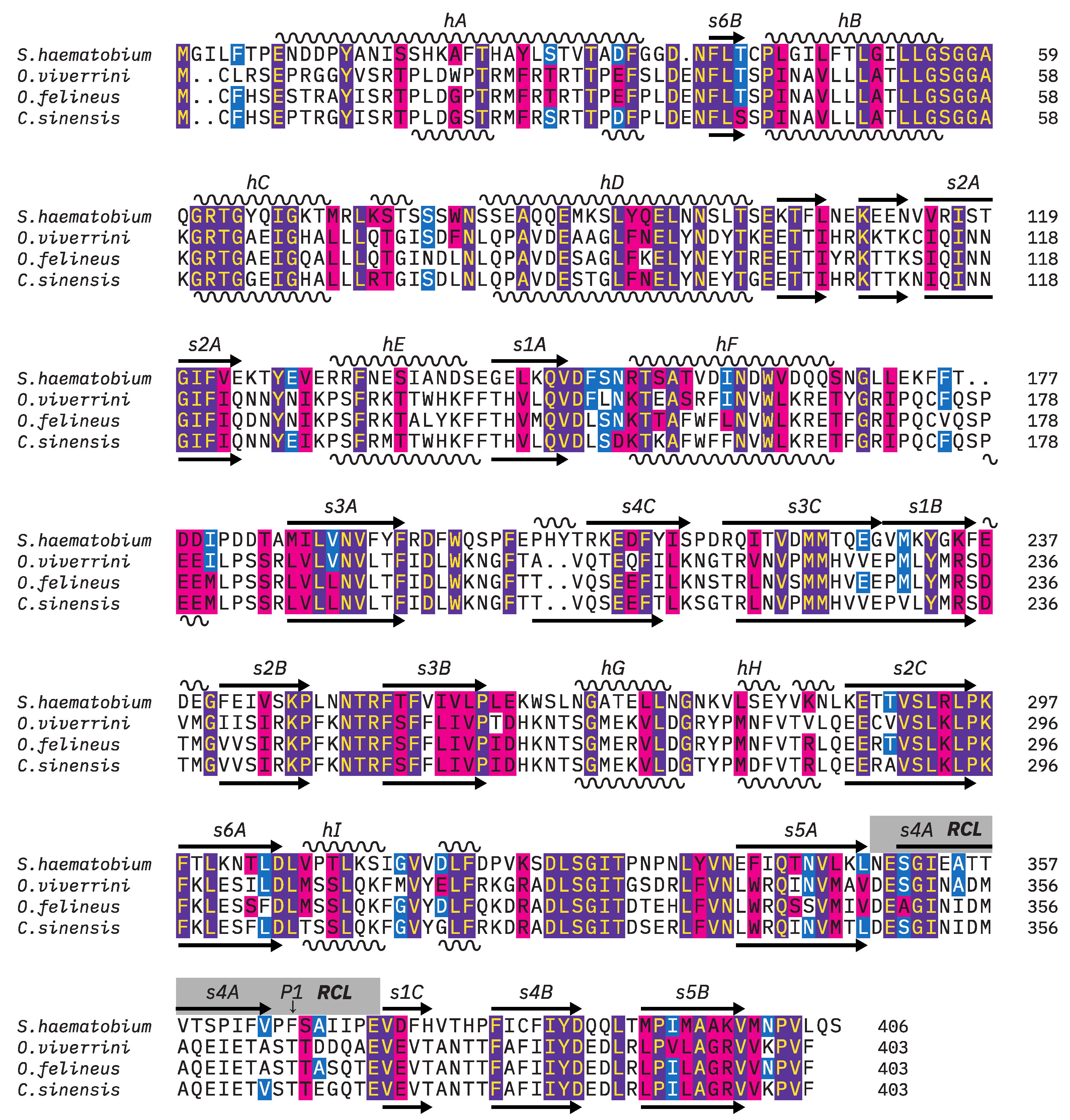 Pathogens 13 00678 g001 Pathogens 13 00678 g001