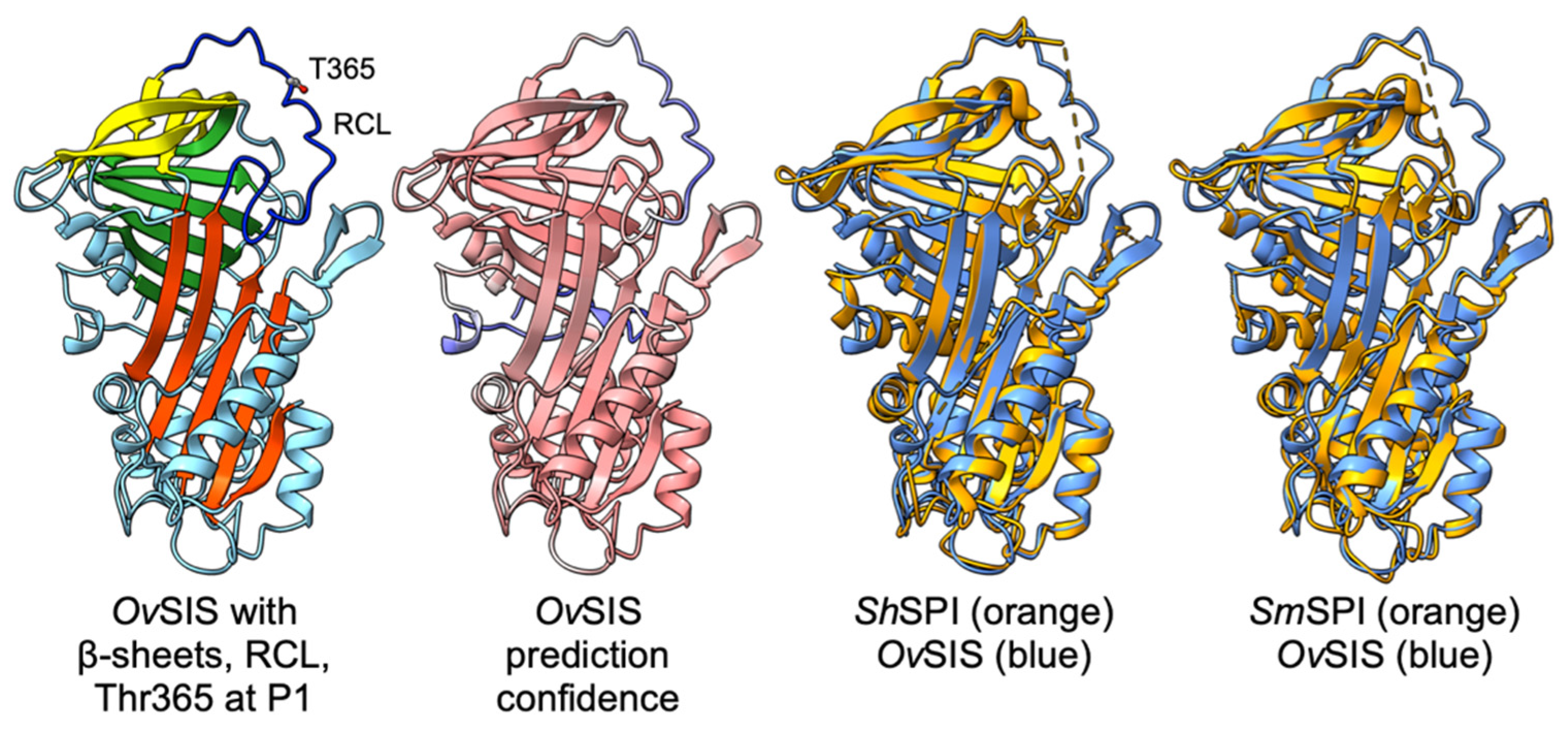 Pathogens 13 00678 g002 Pathogens 13 00678 g002