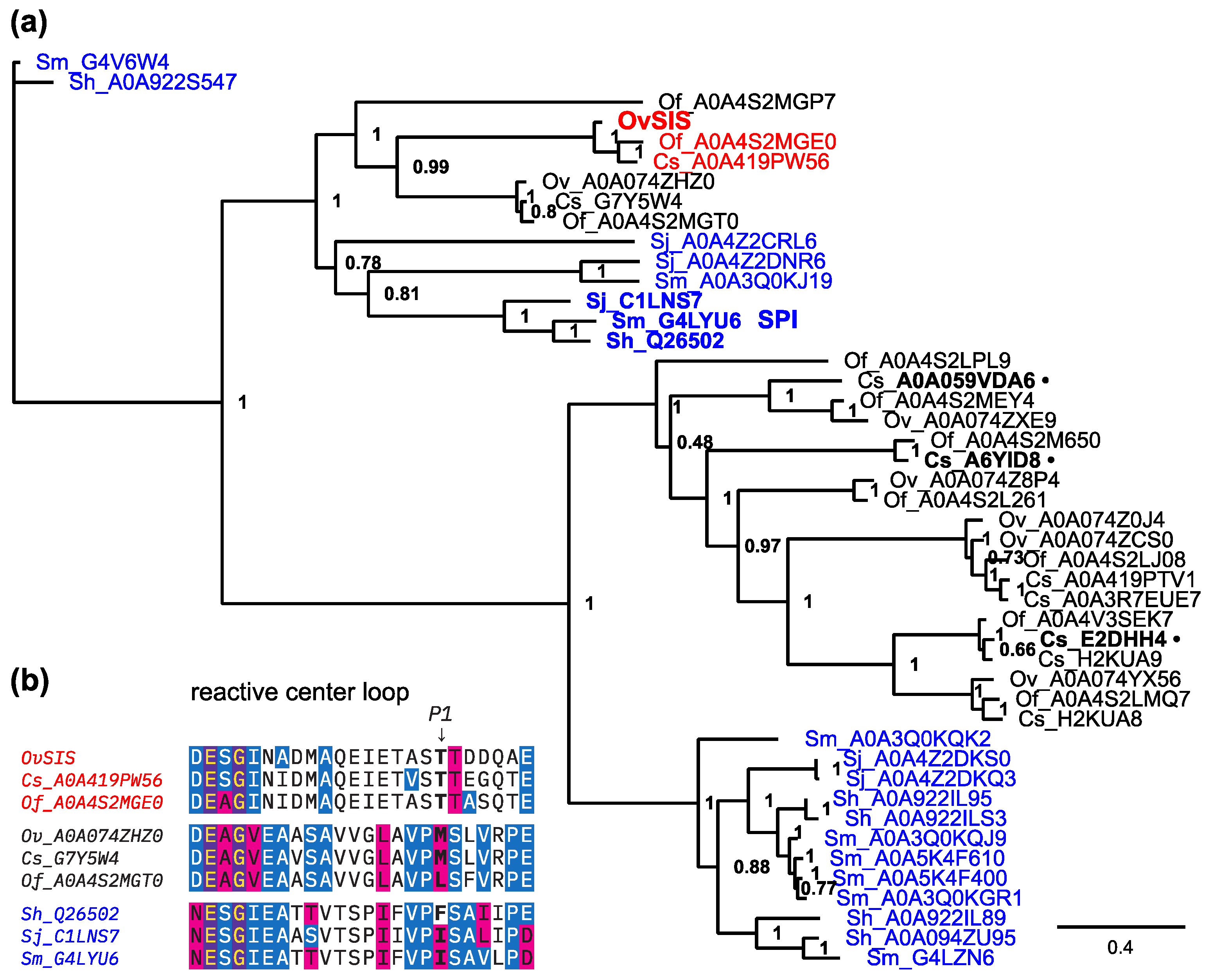 Pathogens 13 00678 g003 Pathogens 13 00678 g003
