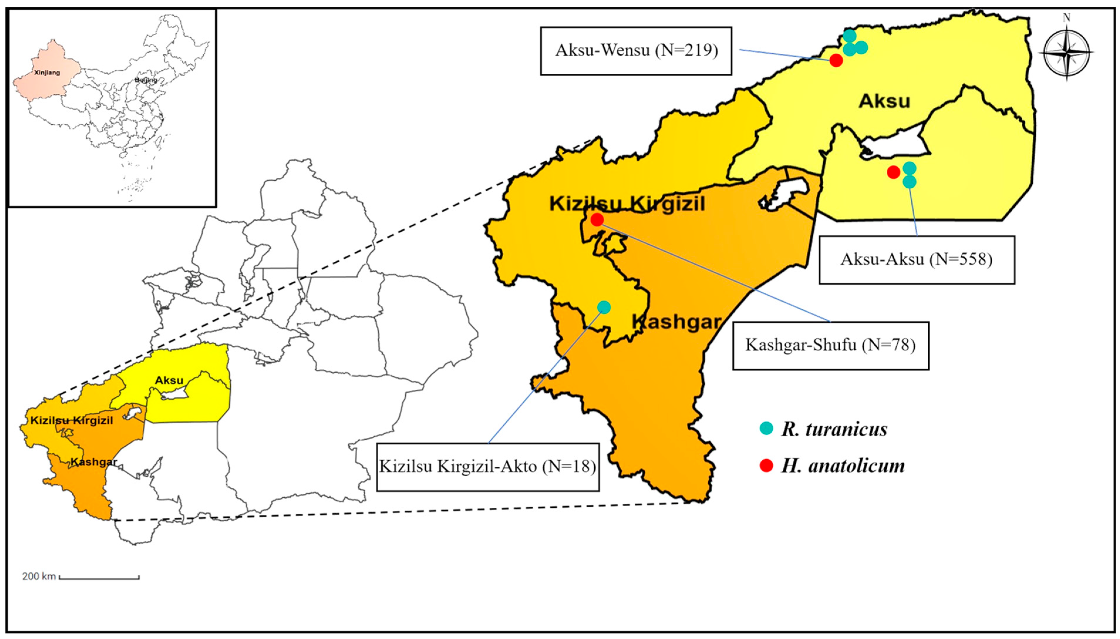 Pathogens 13 00680 g001