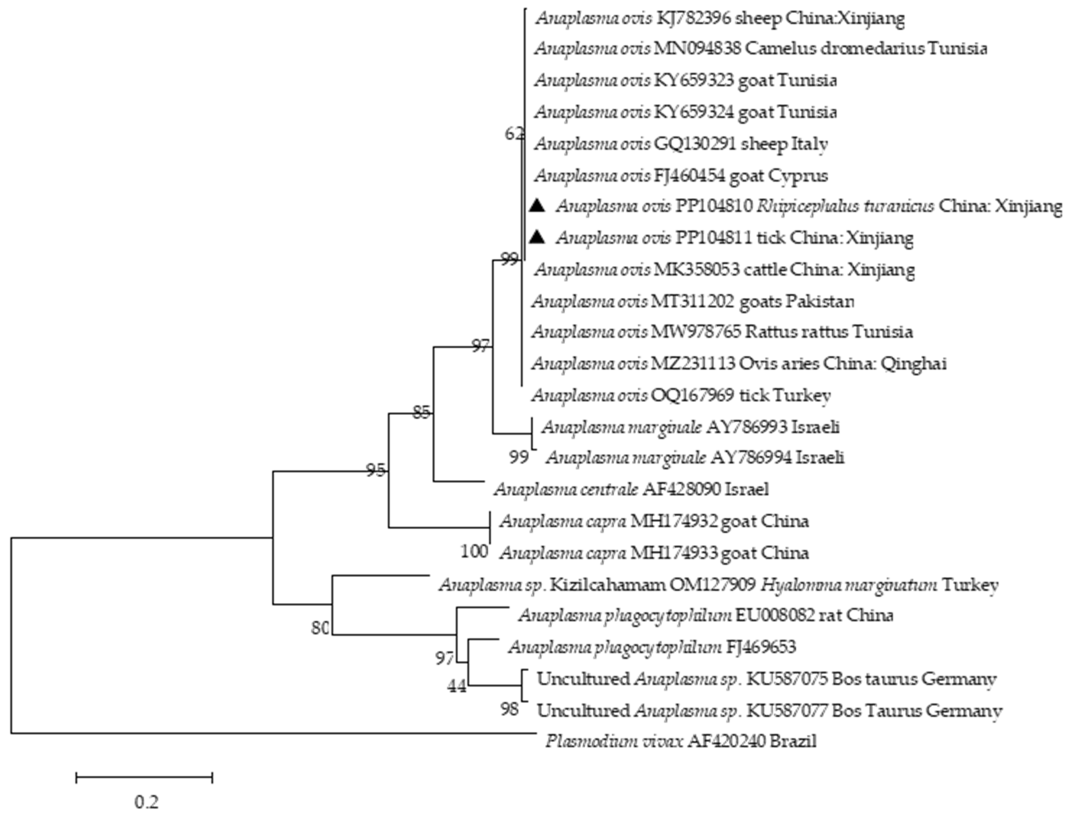 Pathogens 13 00680 g003