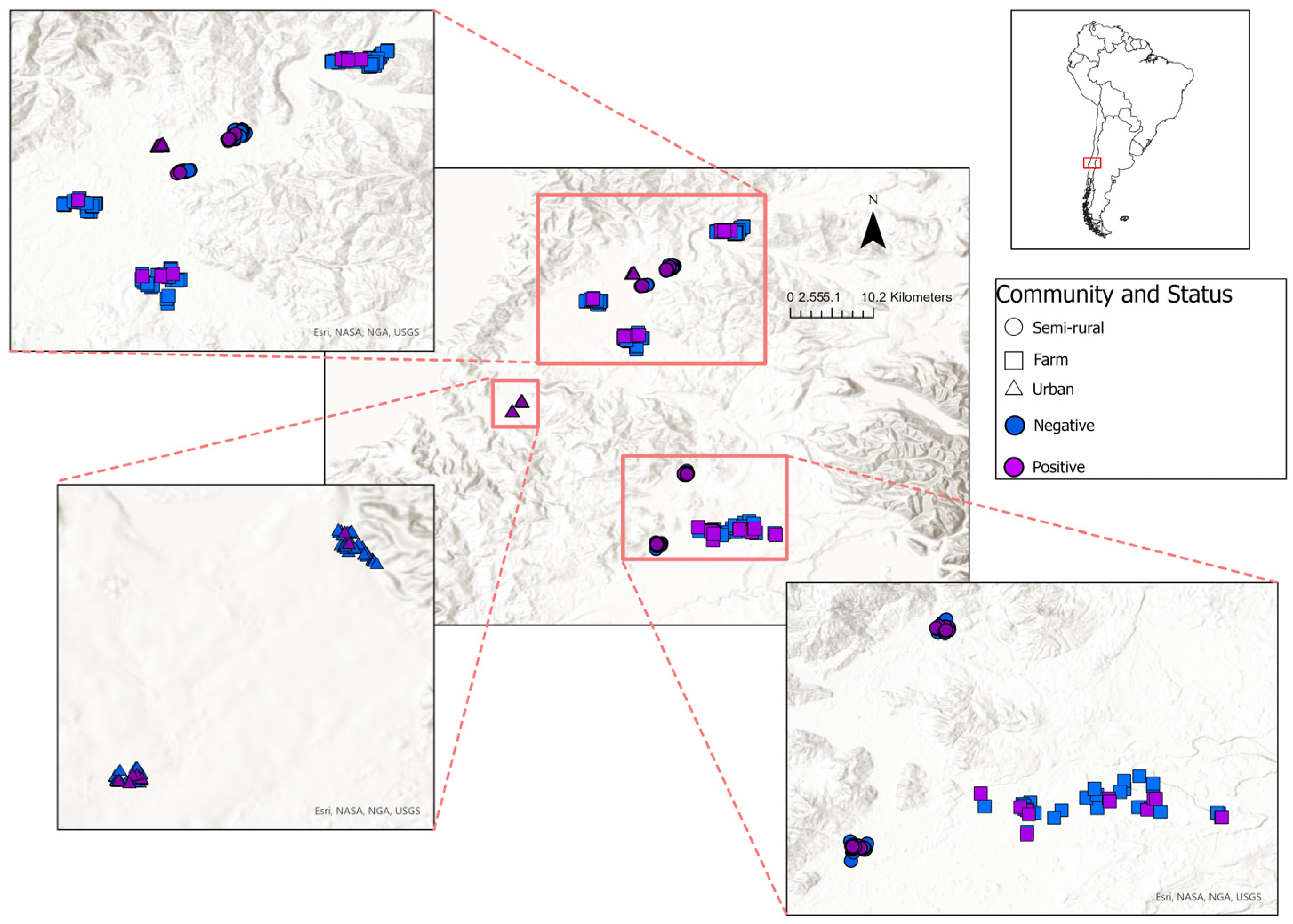 Pathogens 13 00687 g001