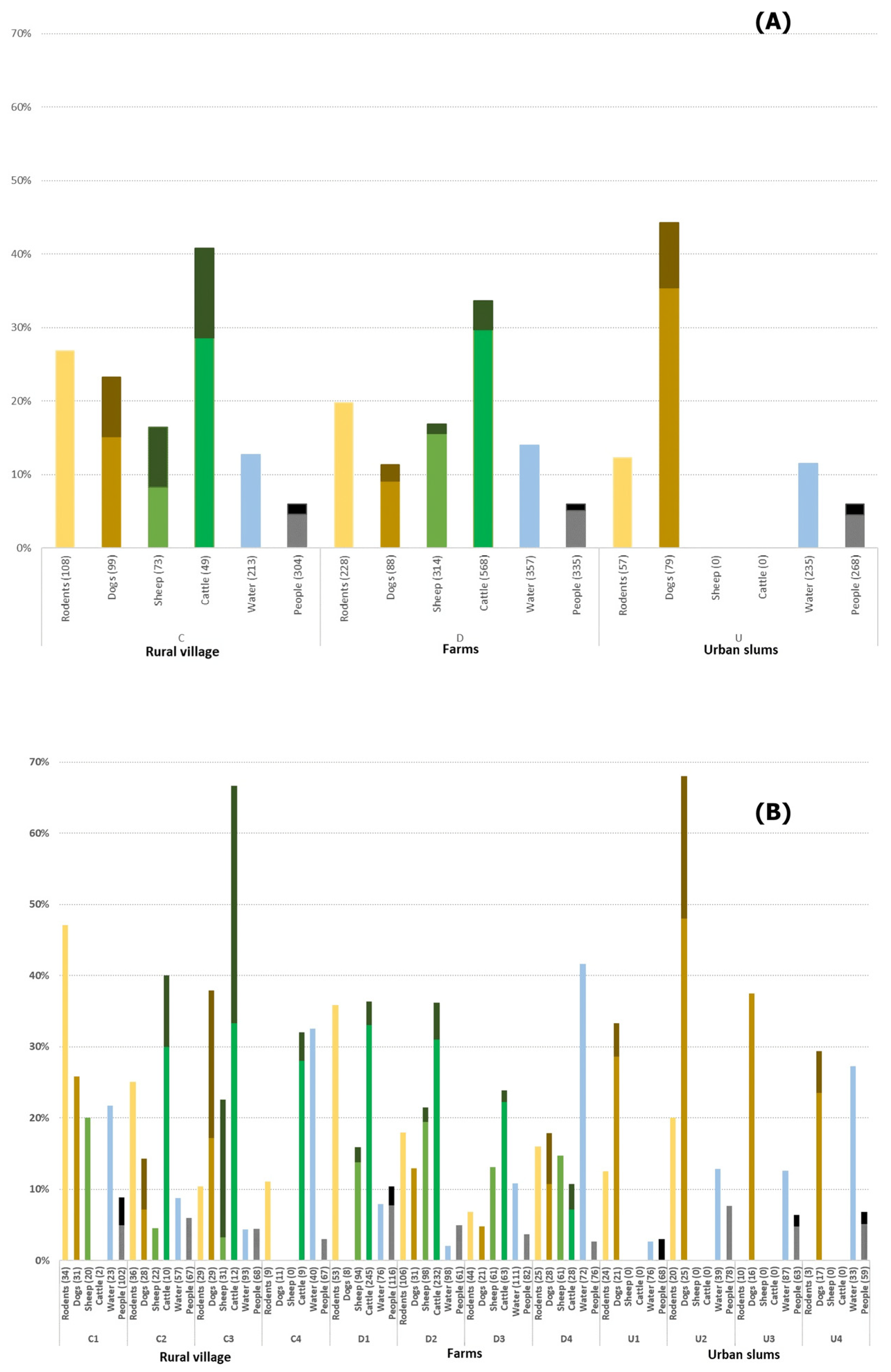 Pathogens 13 00687 g002