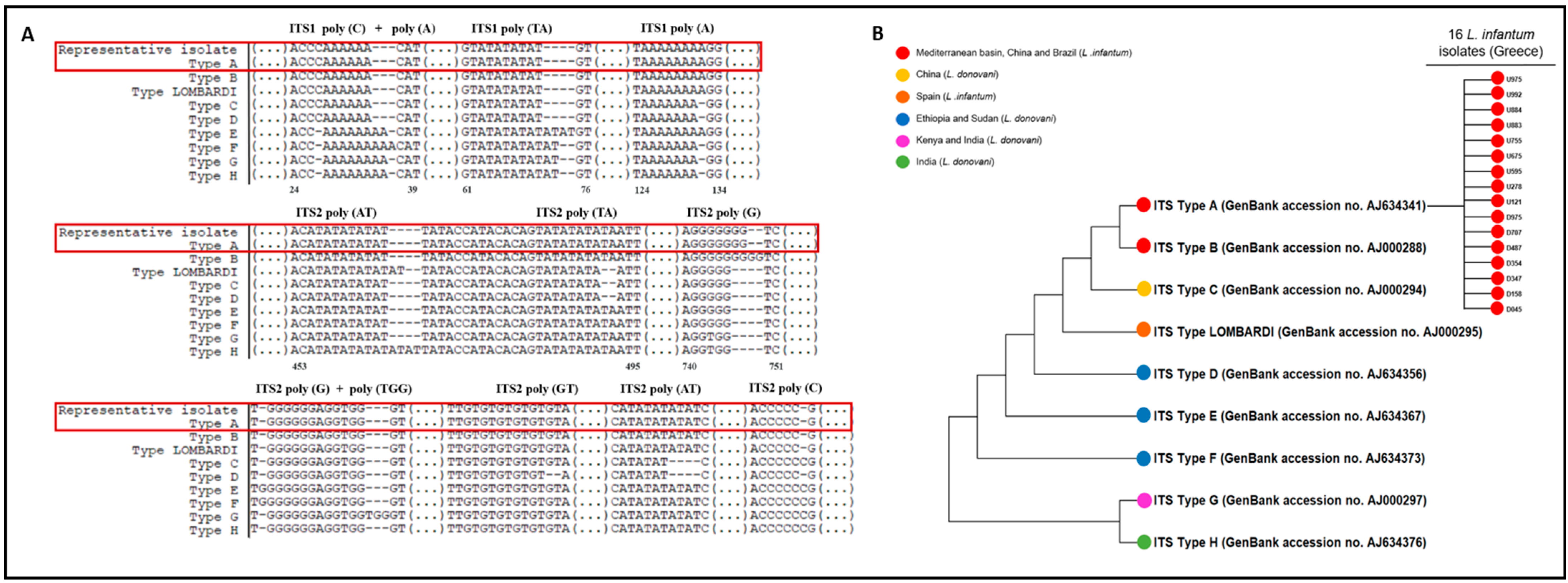 Pathogens 13 00688 g002