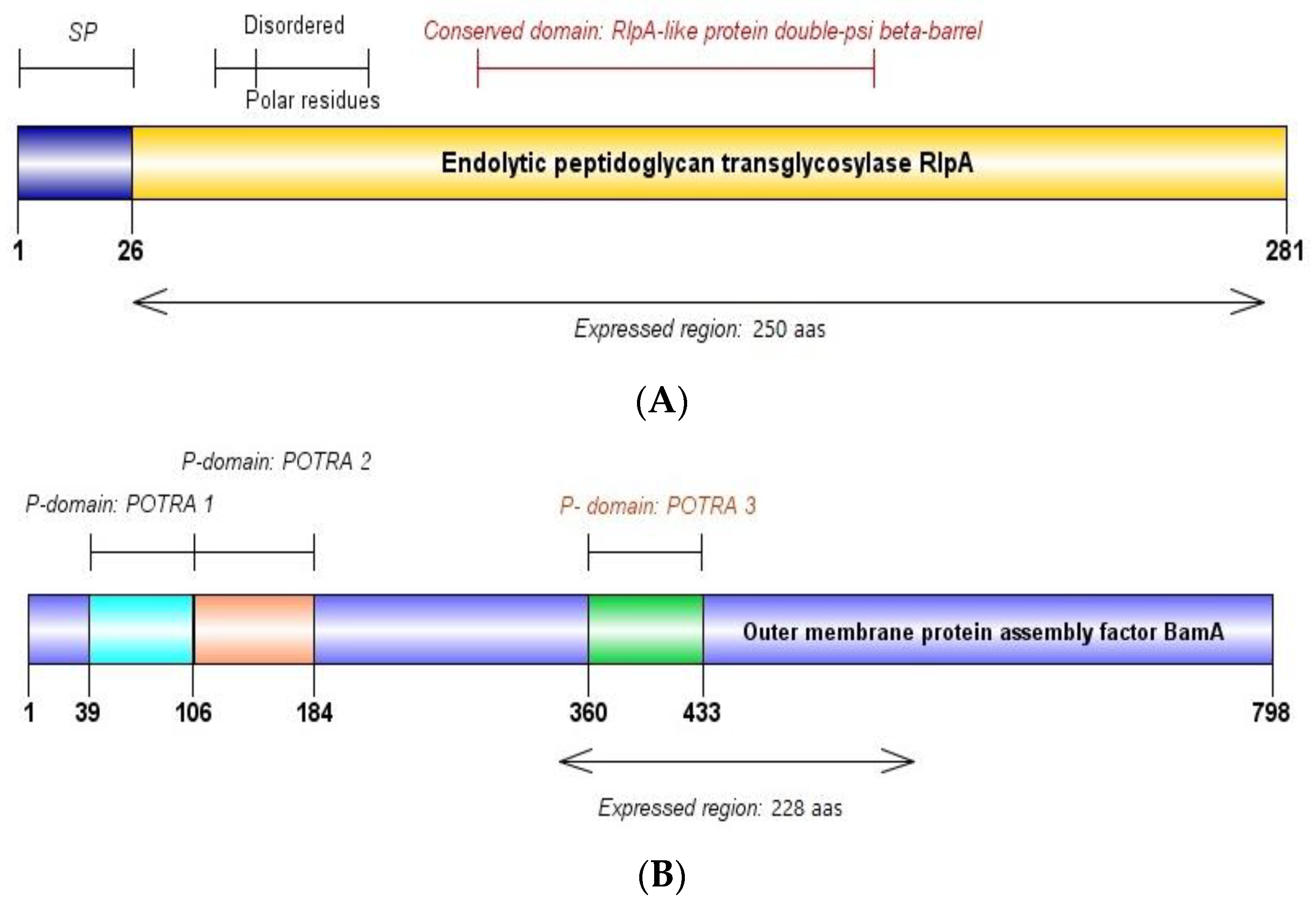 Pathogens 13 00690 g002