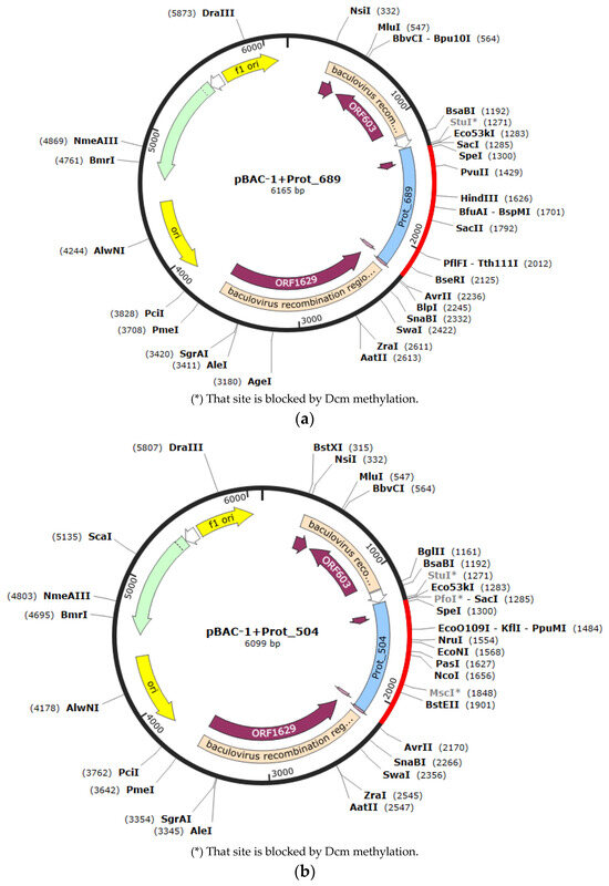 Pathogens 13 00690 g0a1