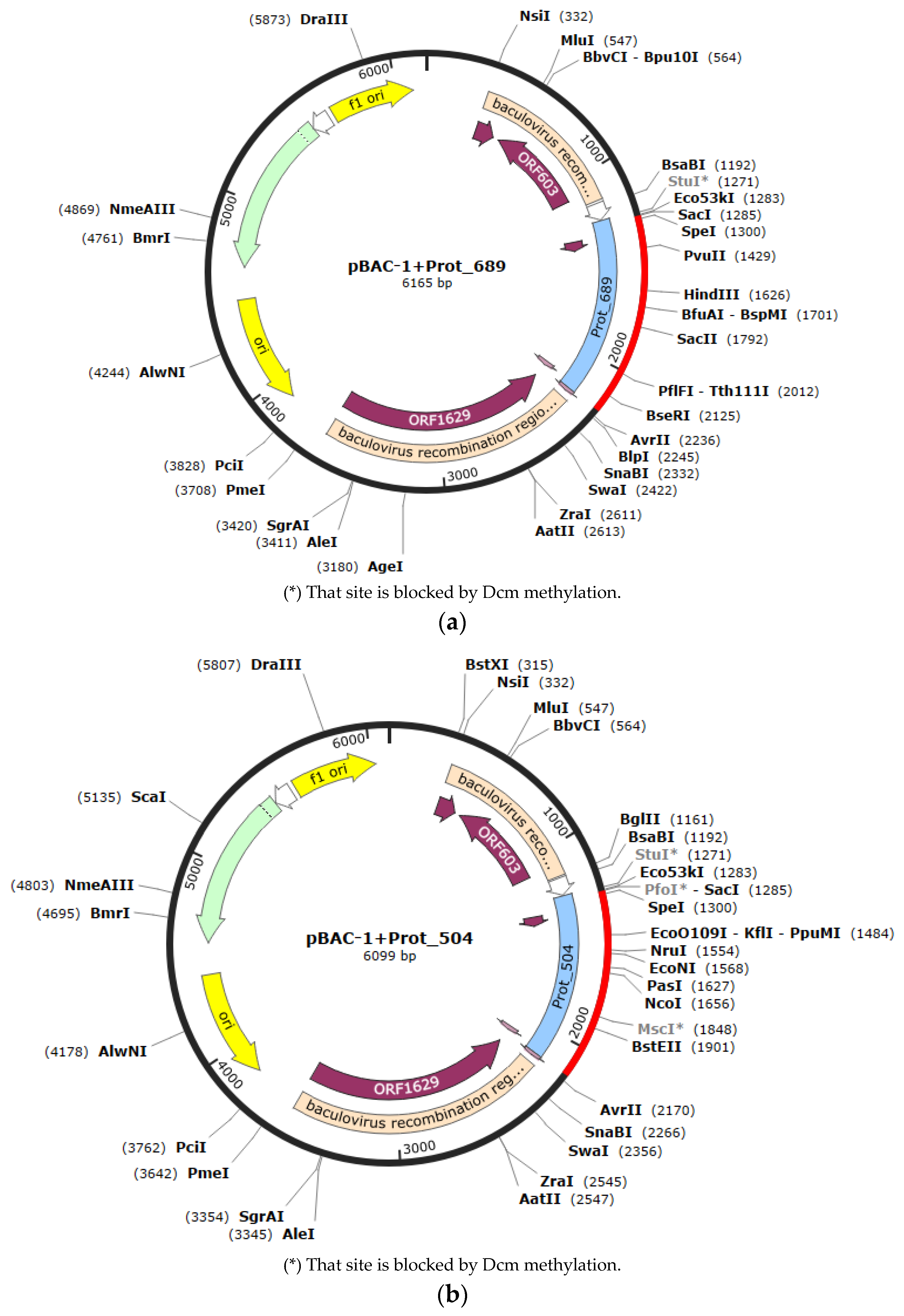 Pathogens 13 00690 g0a1