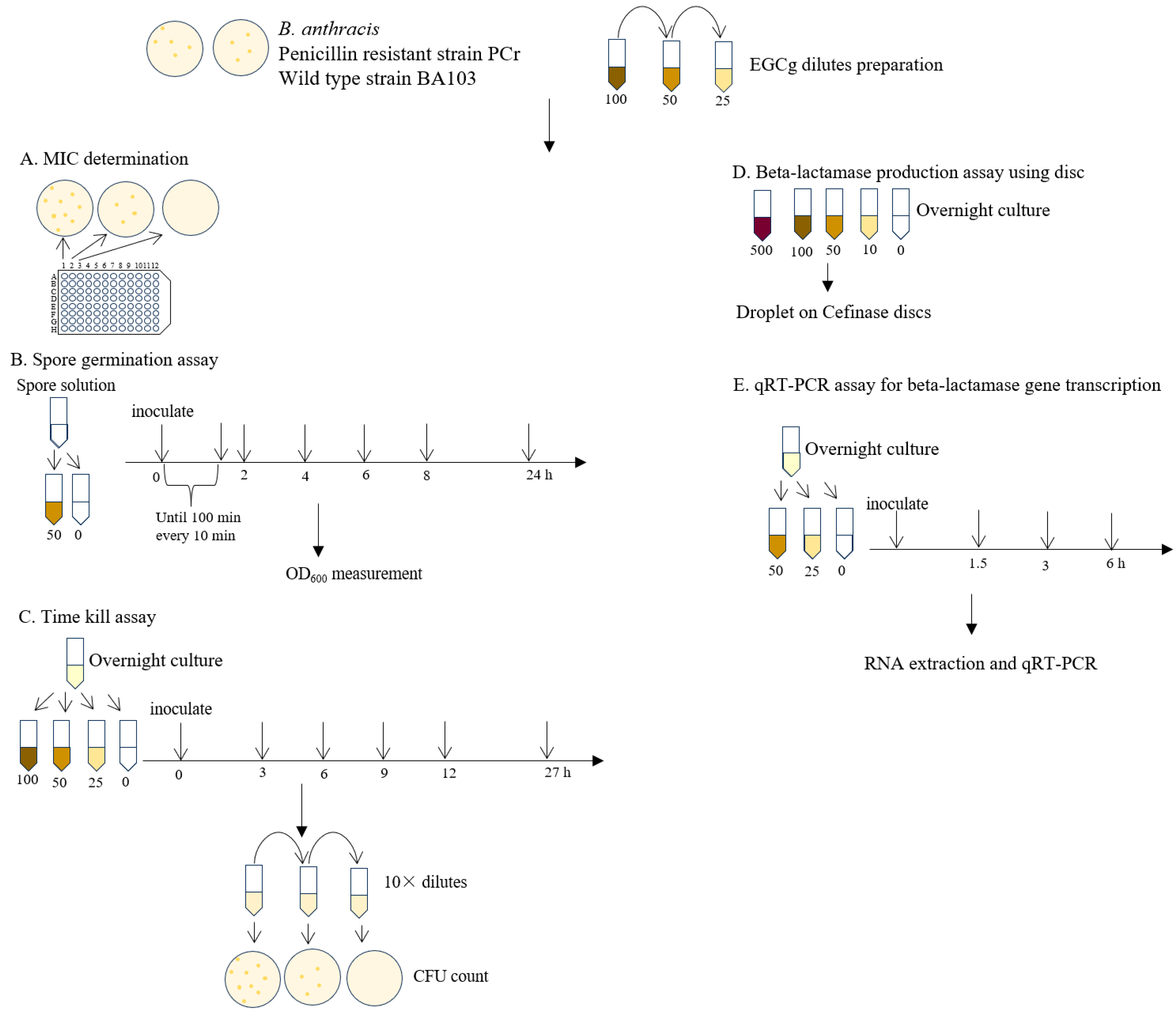 Pathogens 13 00699 g001