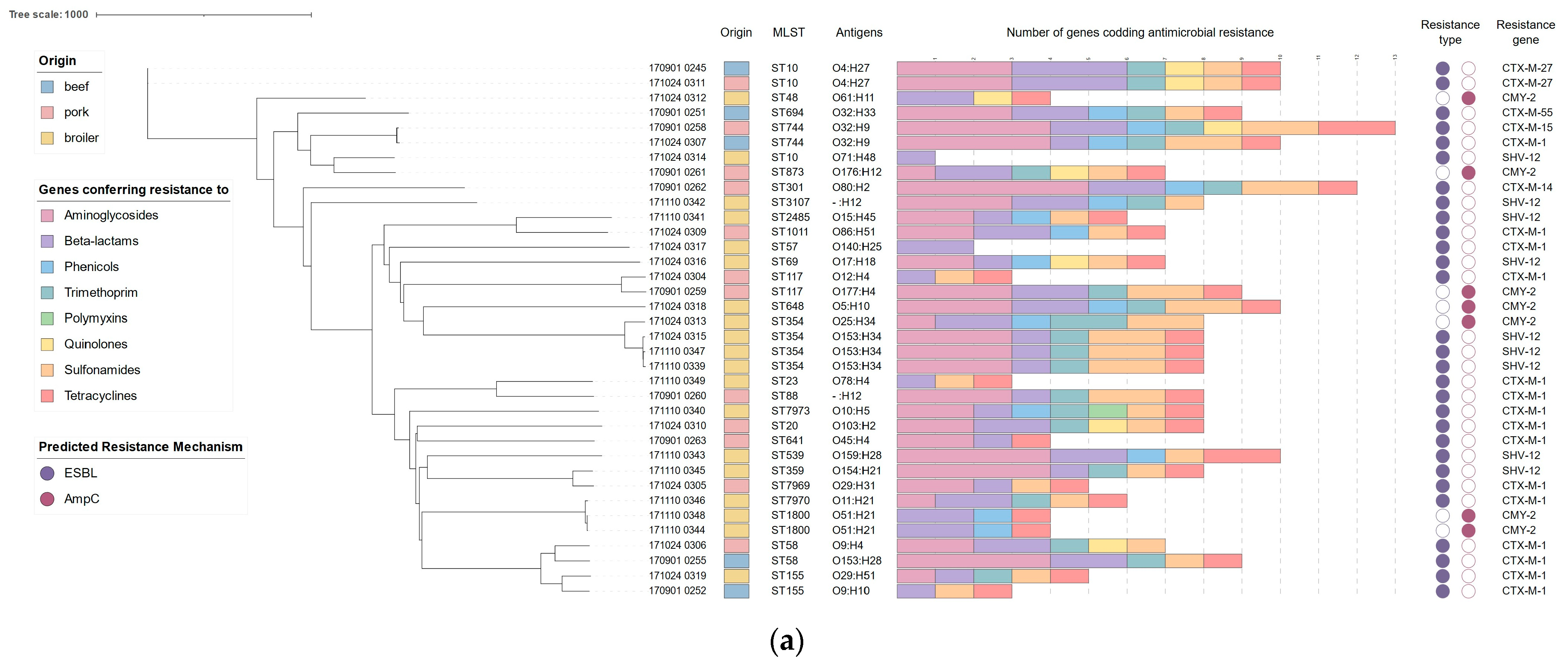 Pathogens 13 00700 g001a