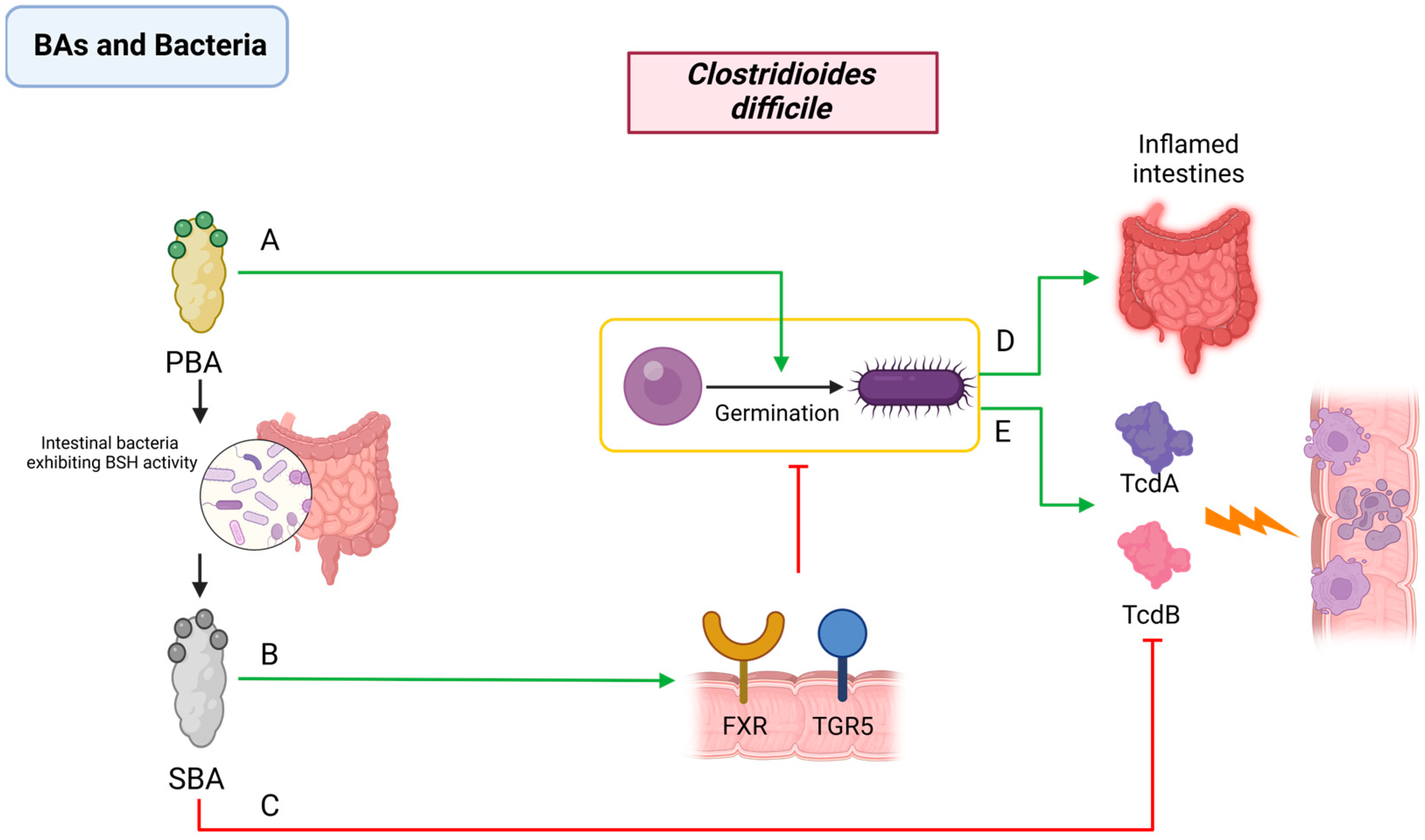 Pathogens 13 00702 g003