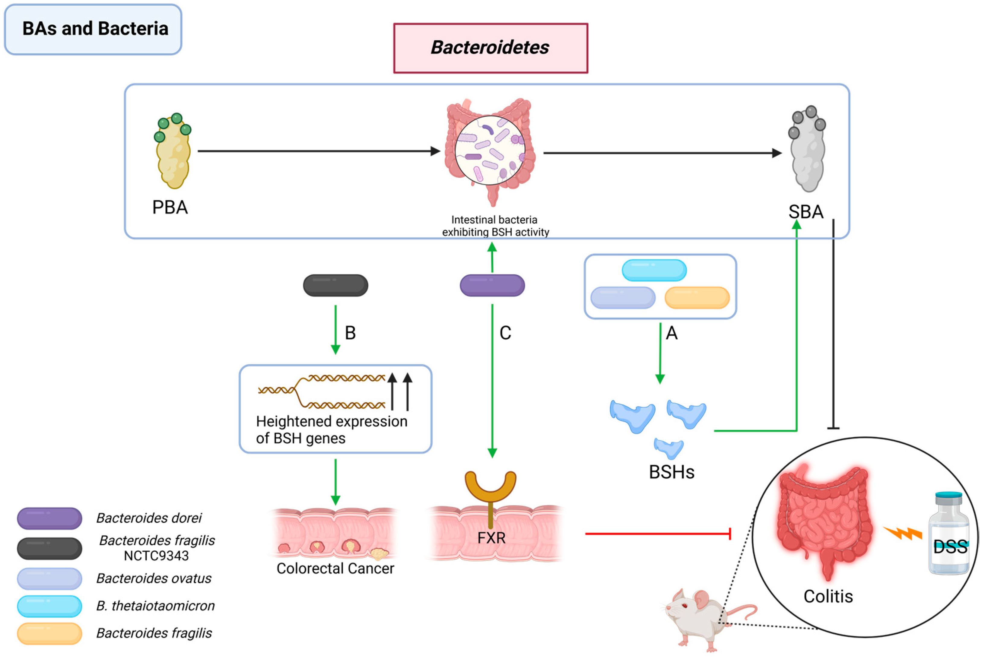 Pathogens 13 00702 g005
