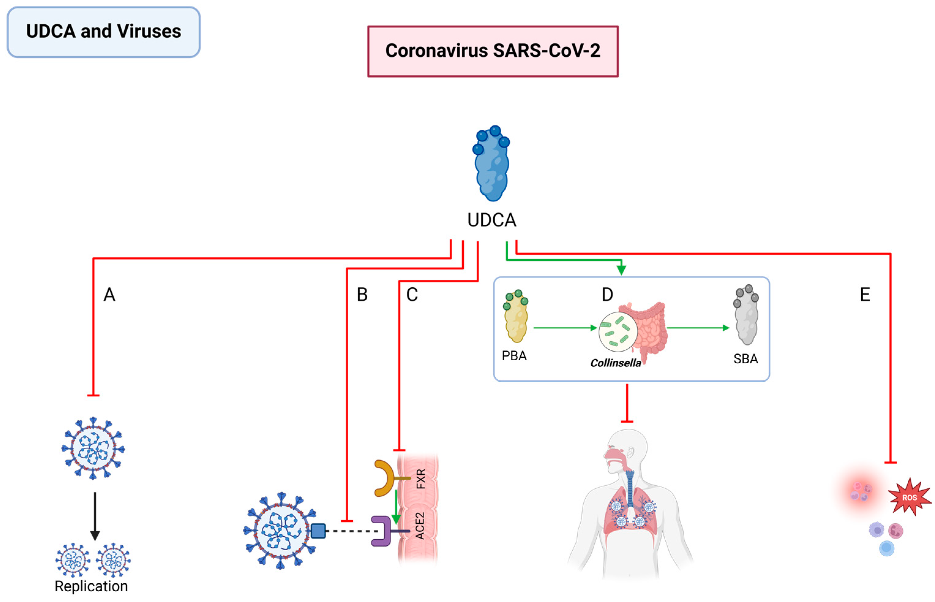 Pathogens 13 00702 g008