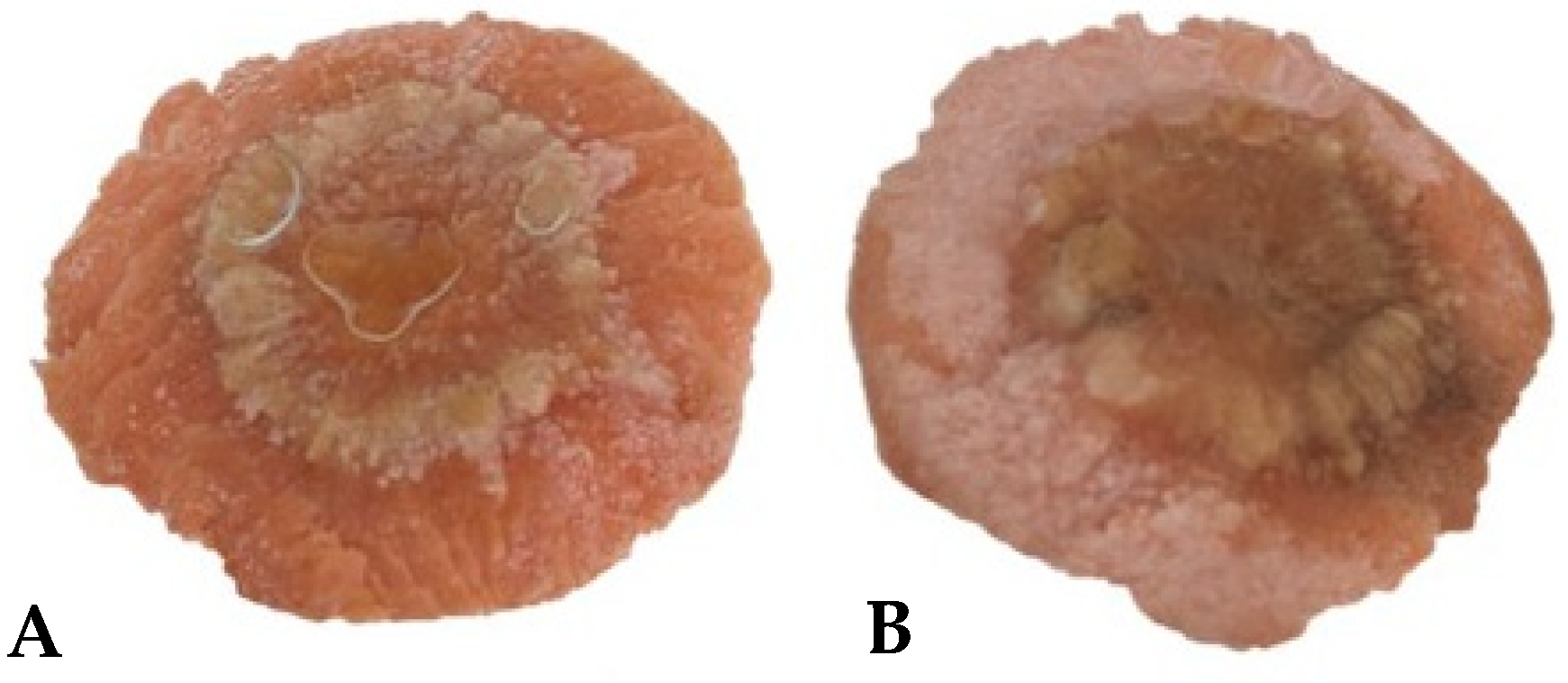 Pathogens 13 00708 g003