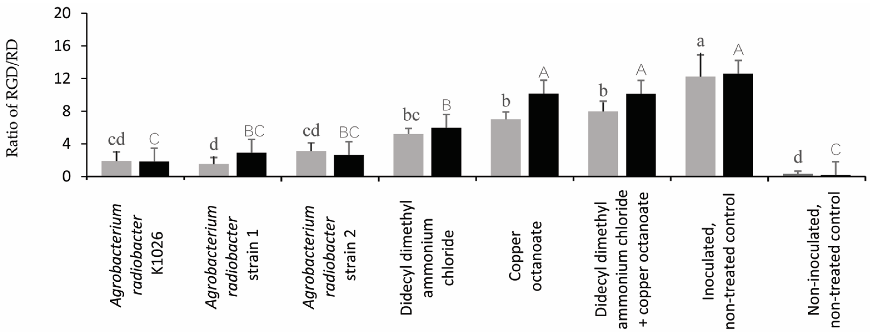 Pathogens 13 00708 g007