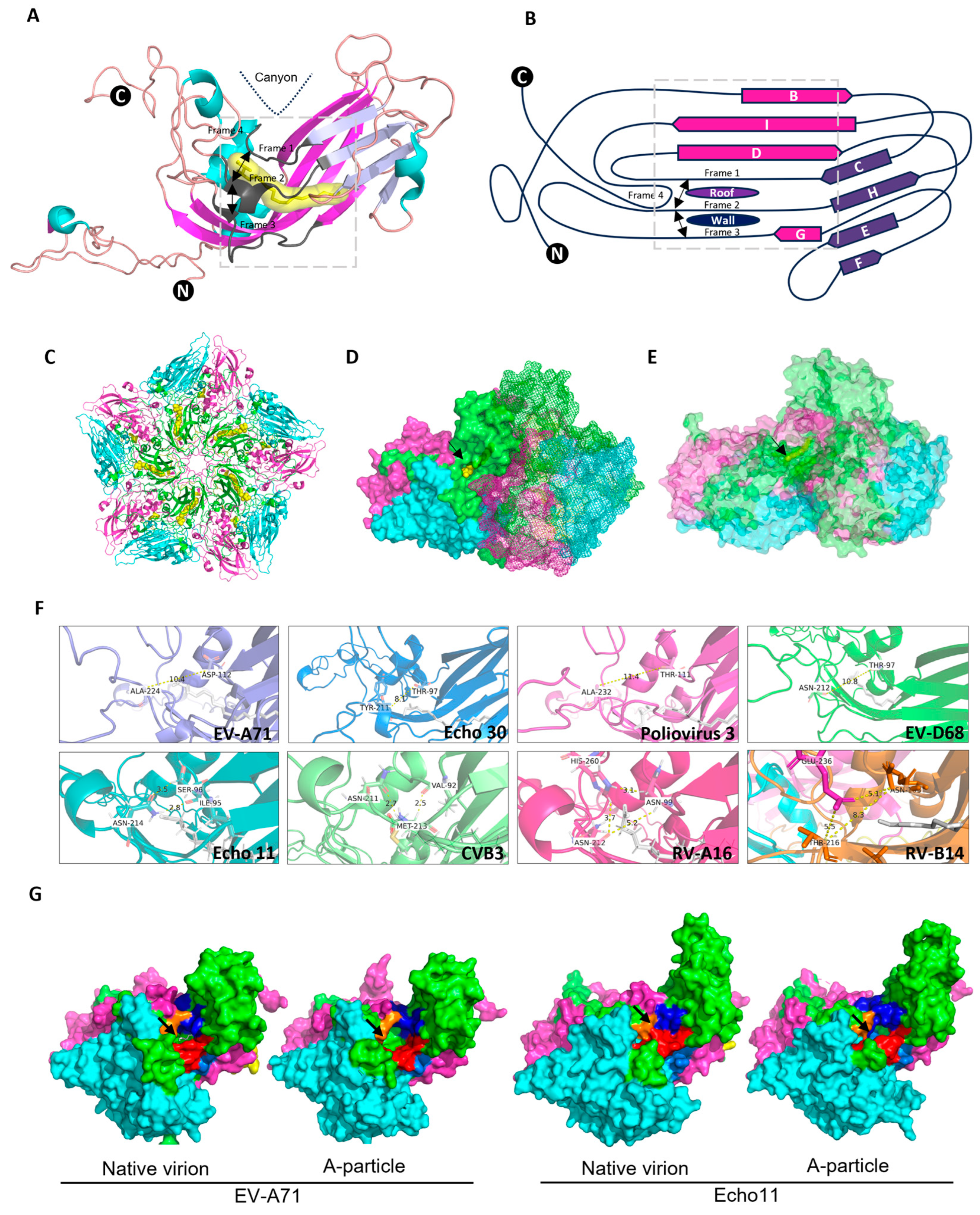 Pathogens 13 00711 g001