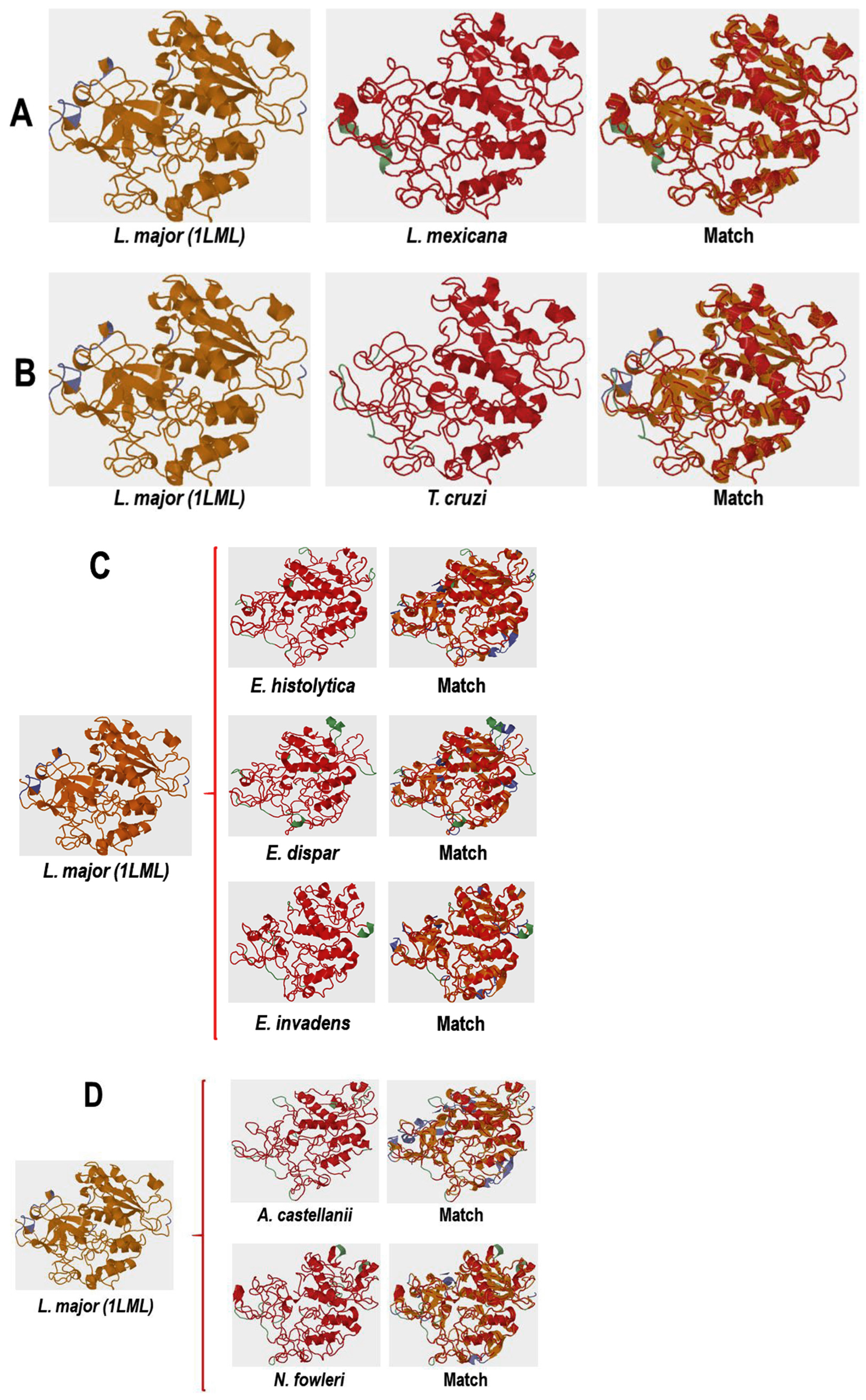 Pathogens 13 00718 g005