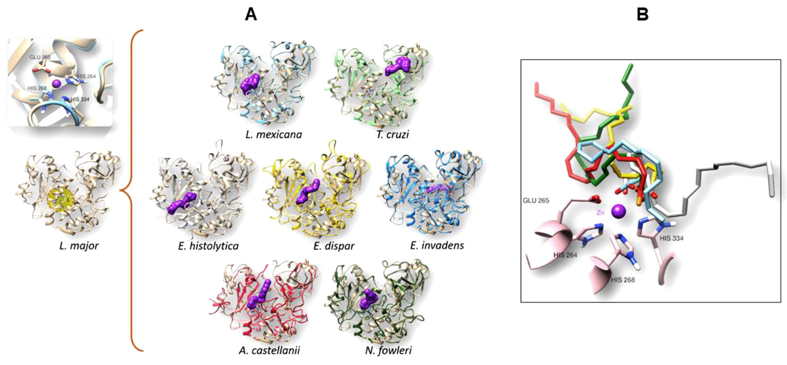 Pathogens 13 00718 g006