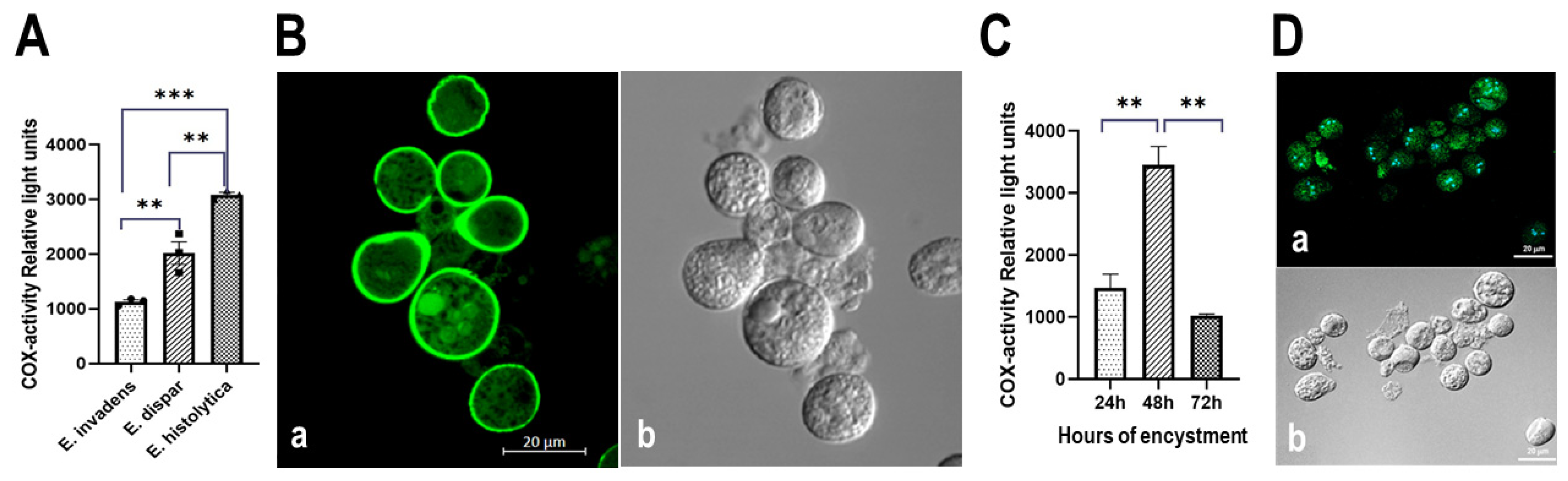 Pathogens 13 00718 g008