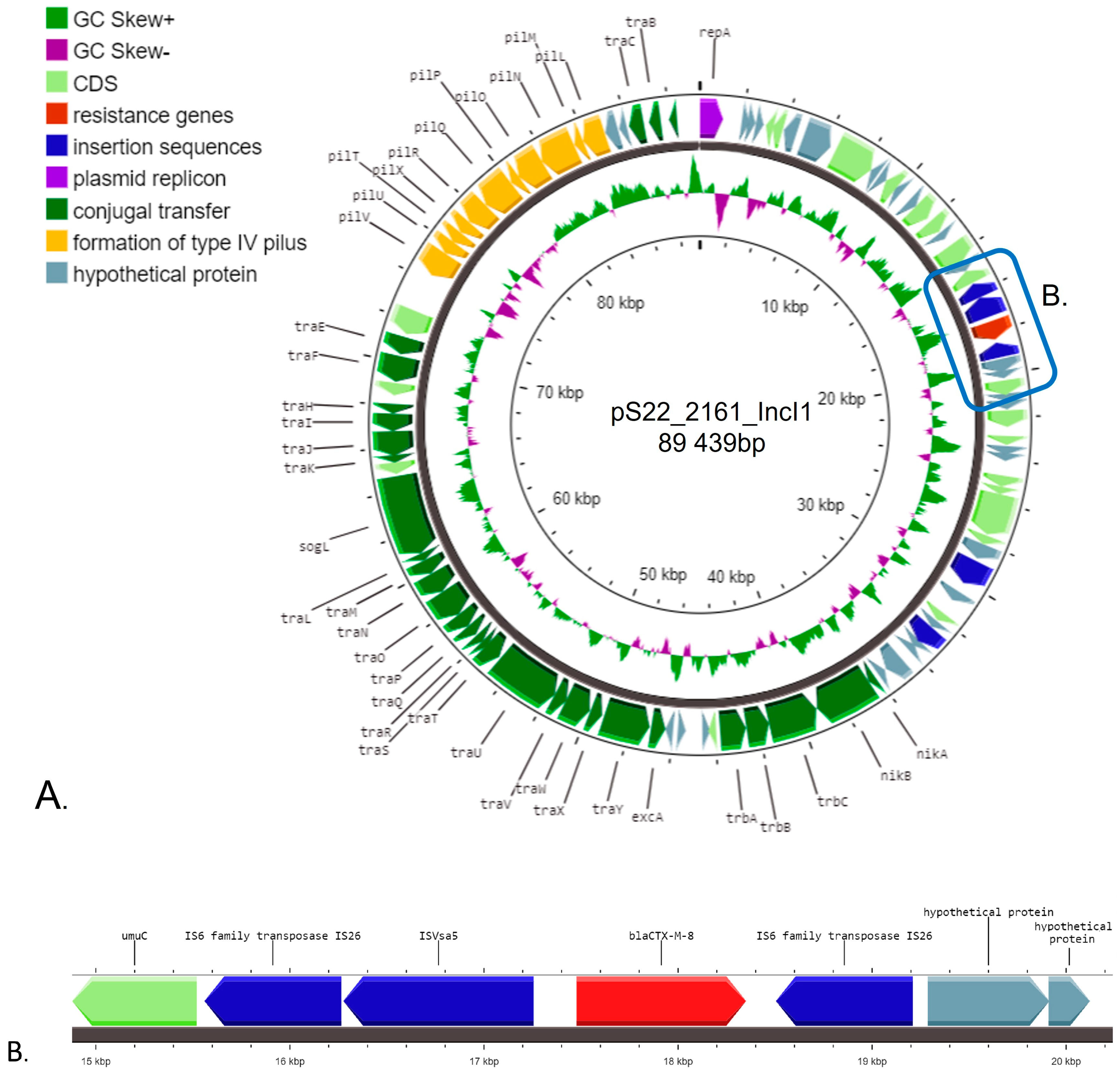Pathogens 13 00723 g002