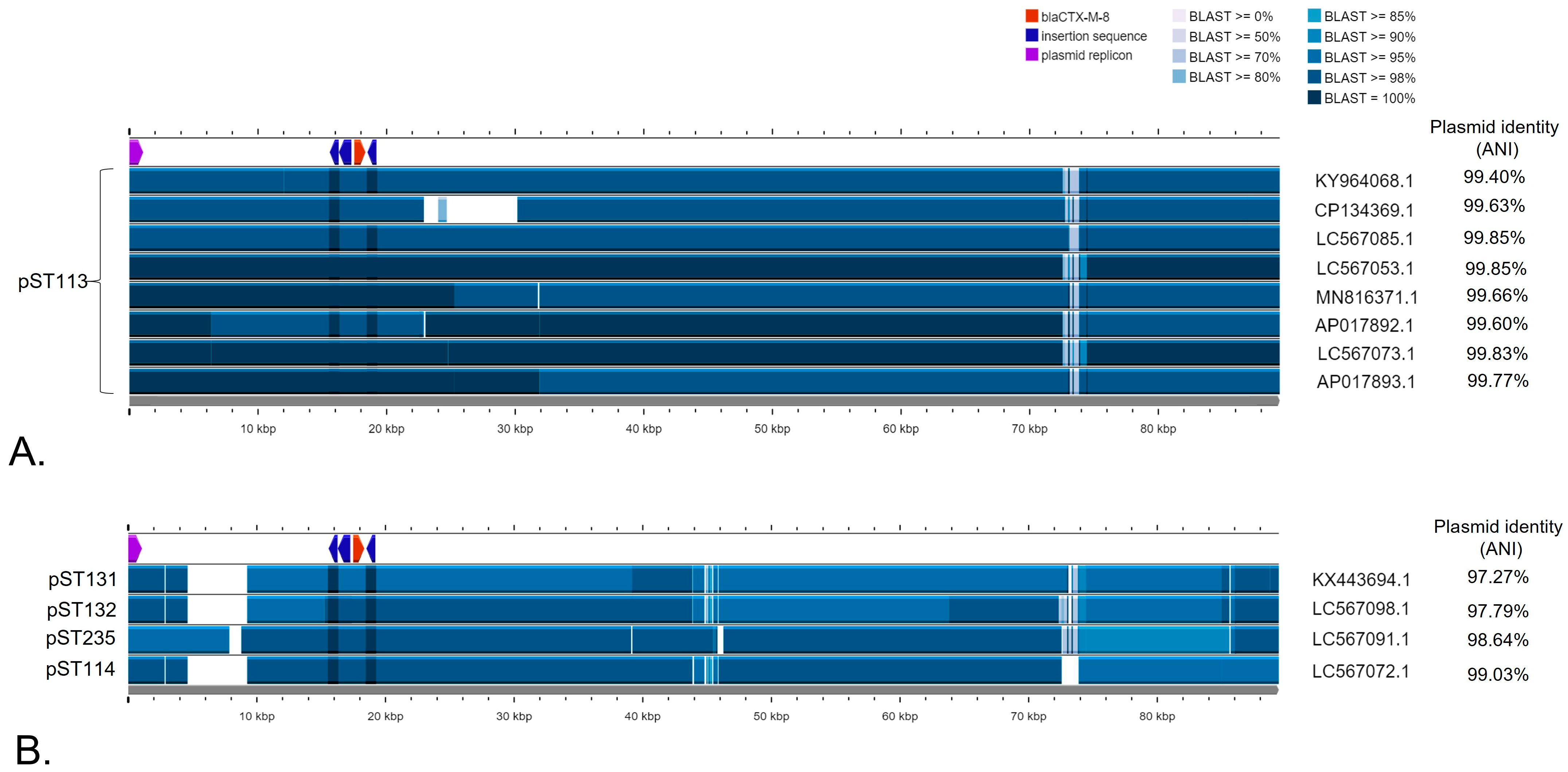 Pathogens 13 00723 g003