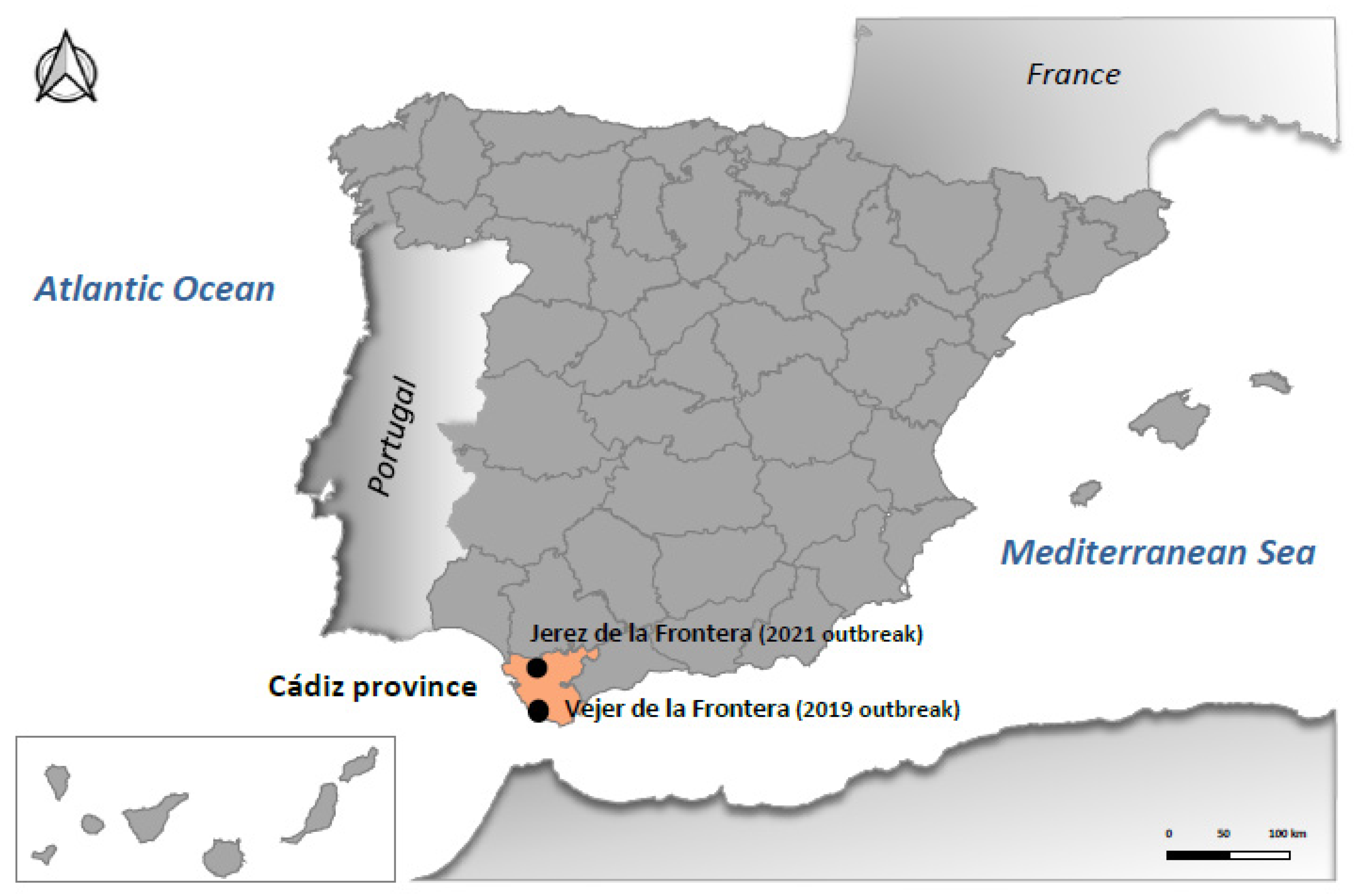 Pathogens 13 00724 g001