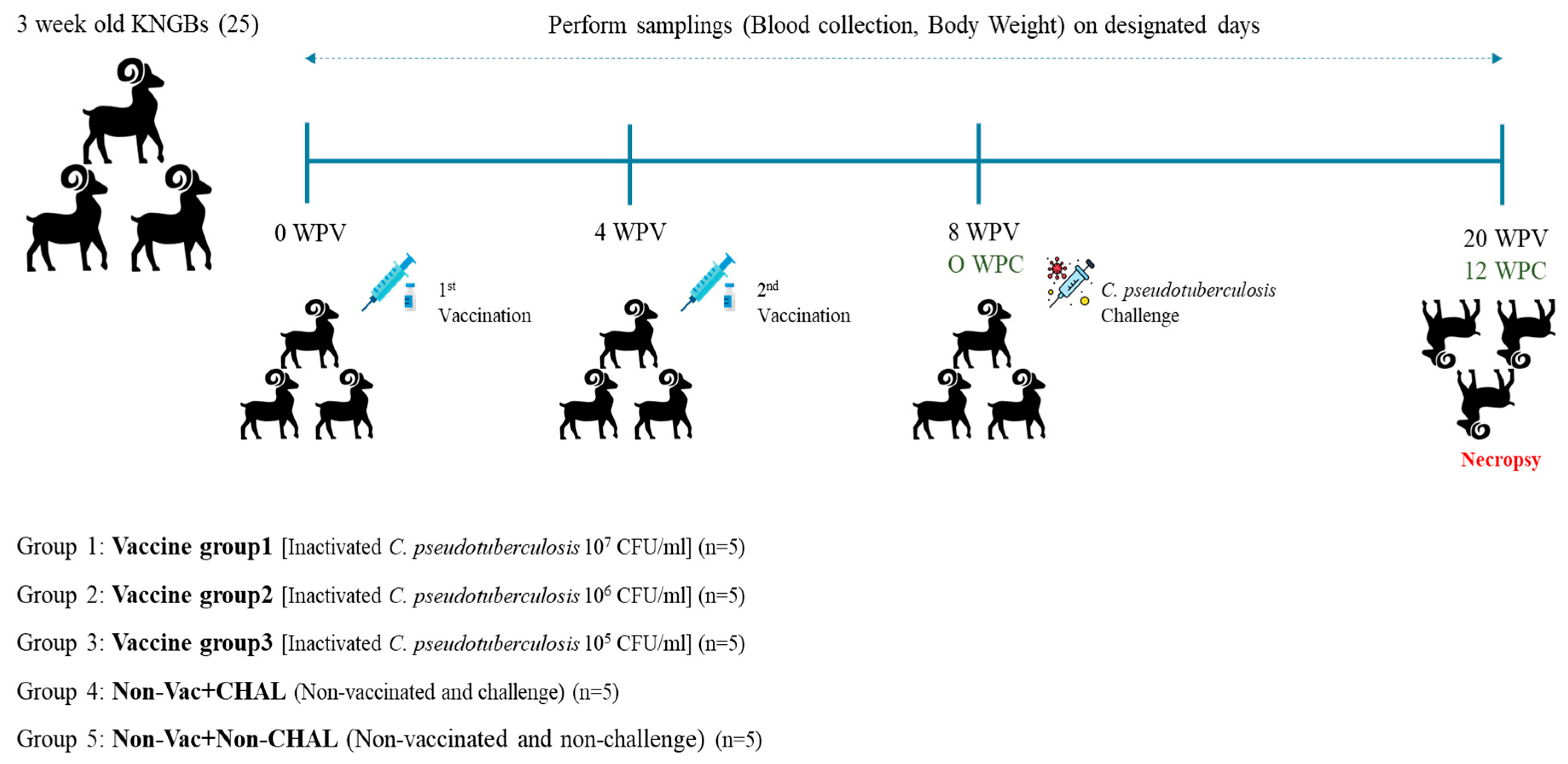 Pathogens 13 00729 g001