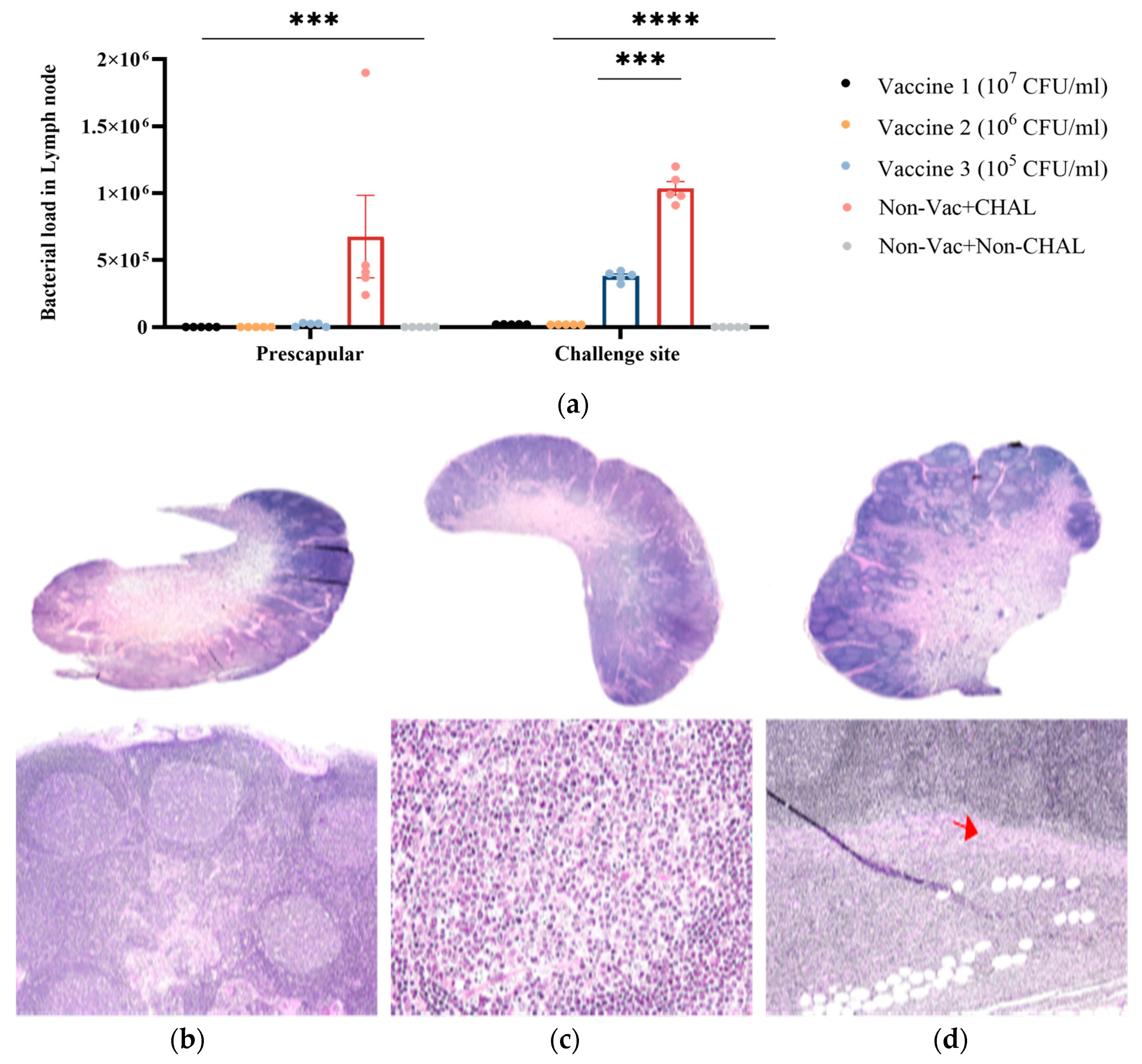 Pathogens 13 00729 g005