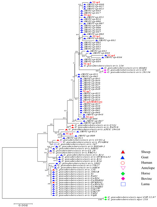 Pathogens 13 00729 g0a1