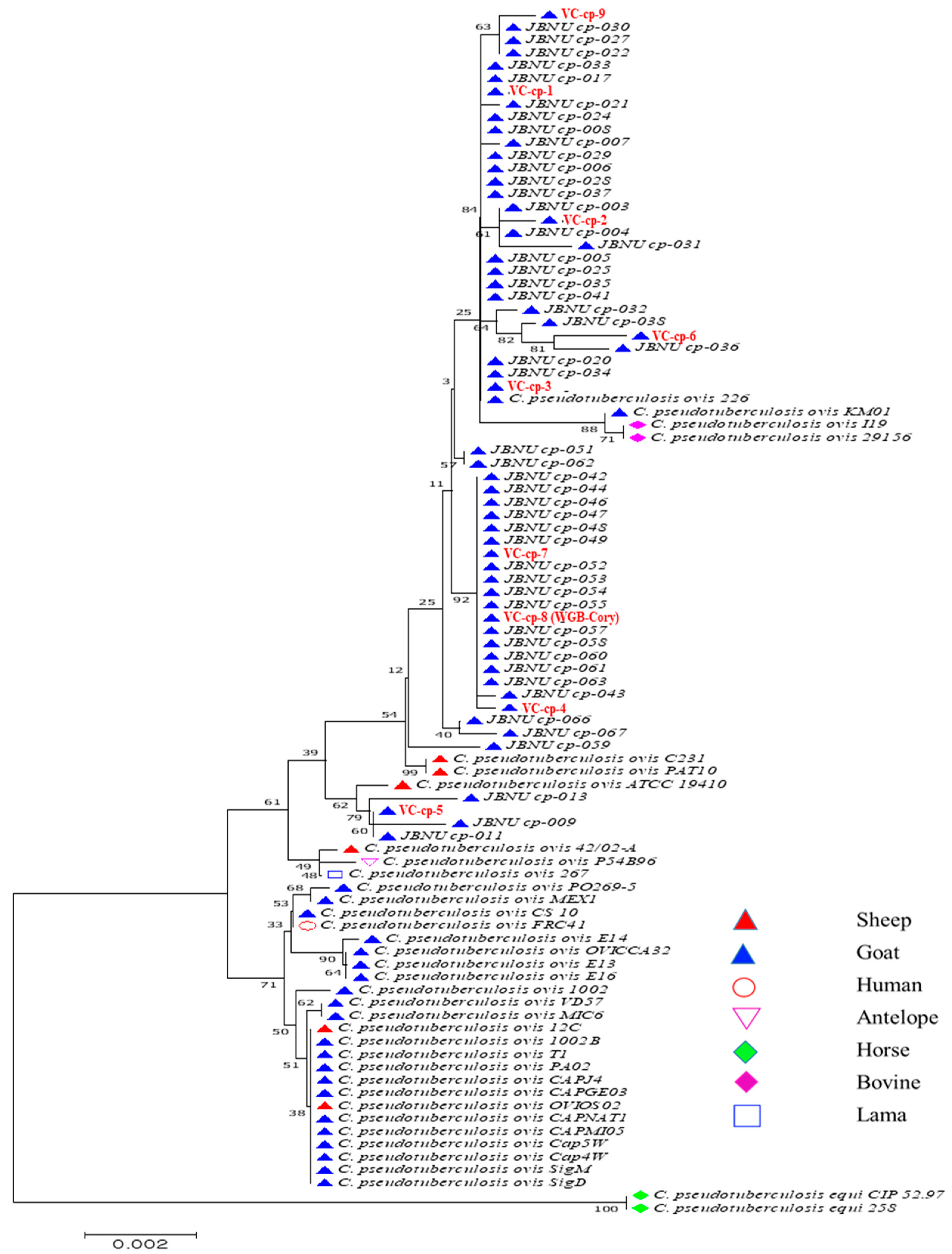 Pathogens 13 00729 g0a1