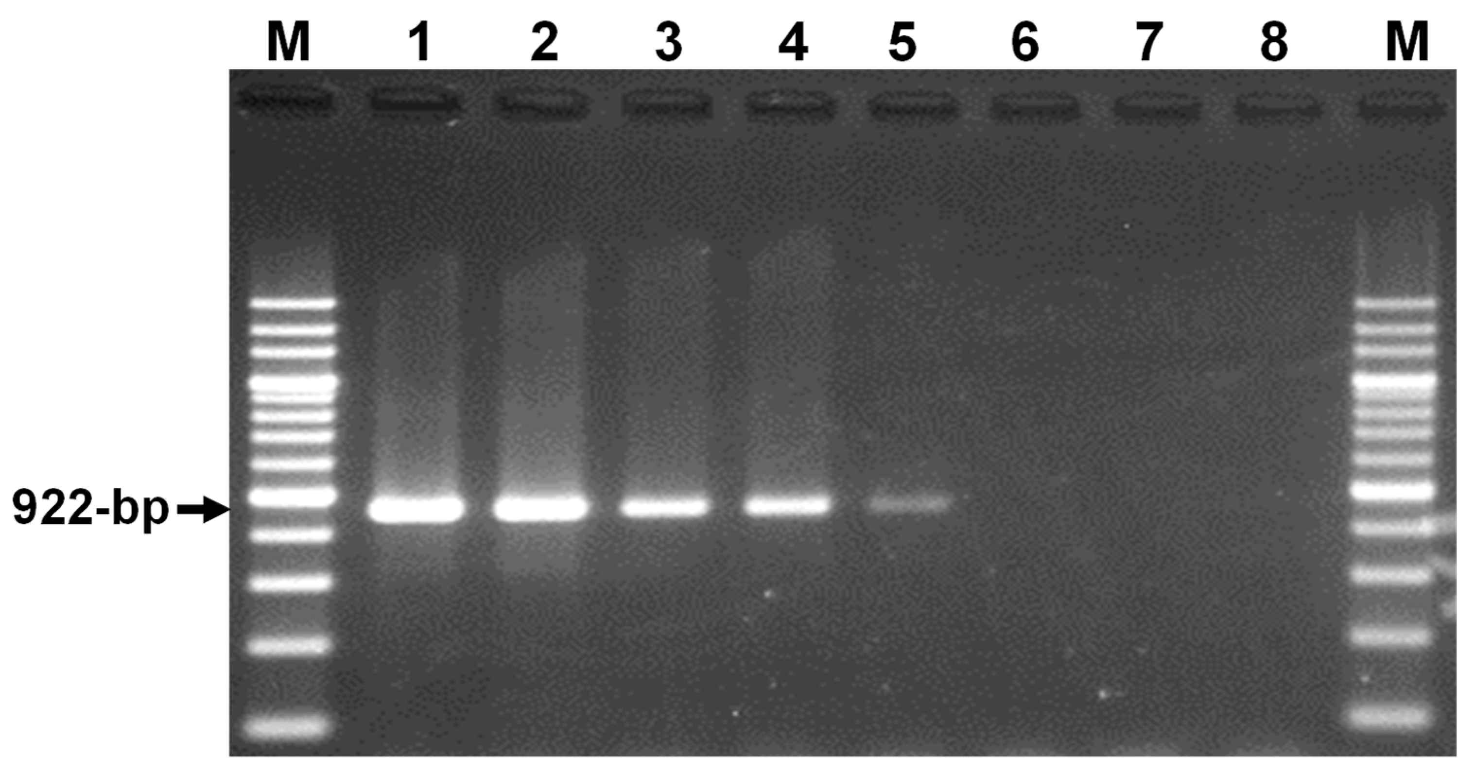 Pathogens 13 00735 g002