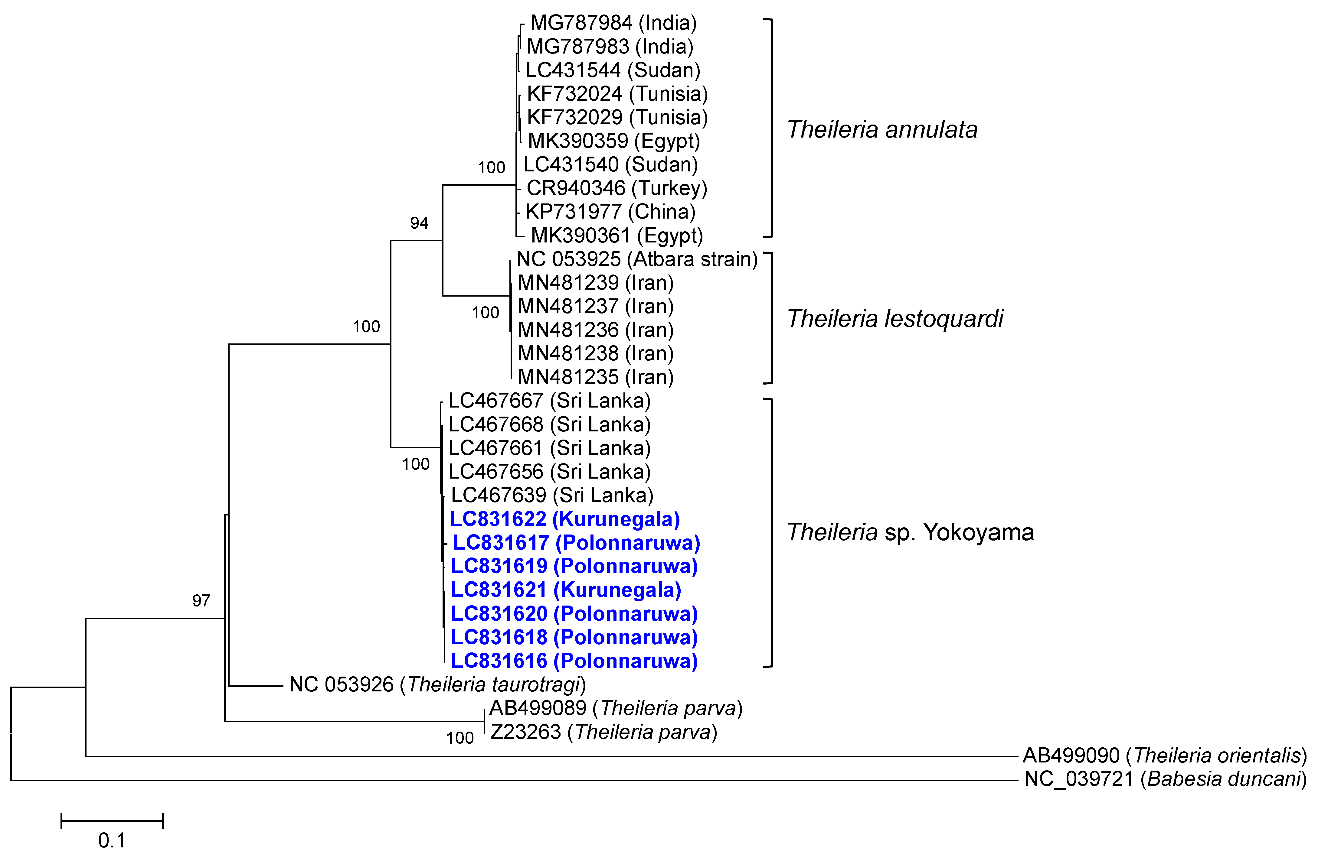 Pathogens 13 00735 g004