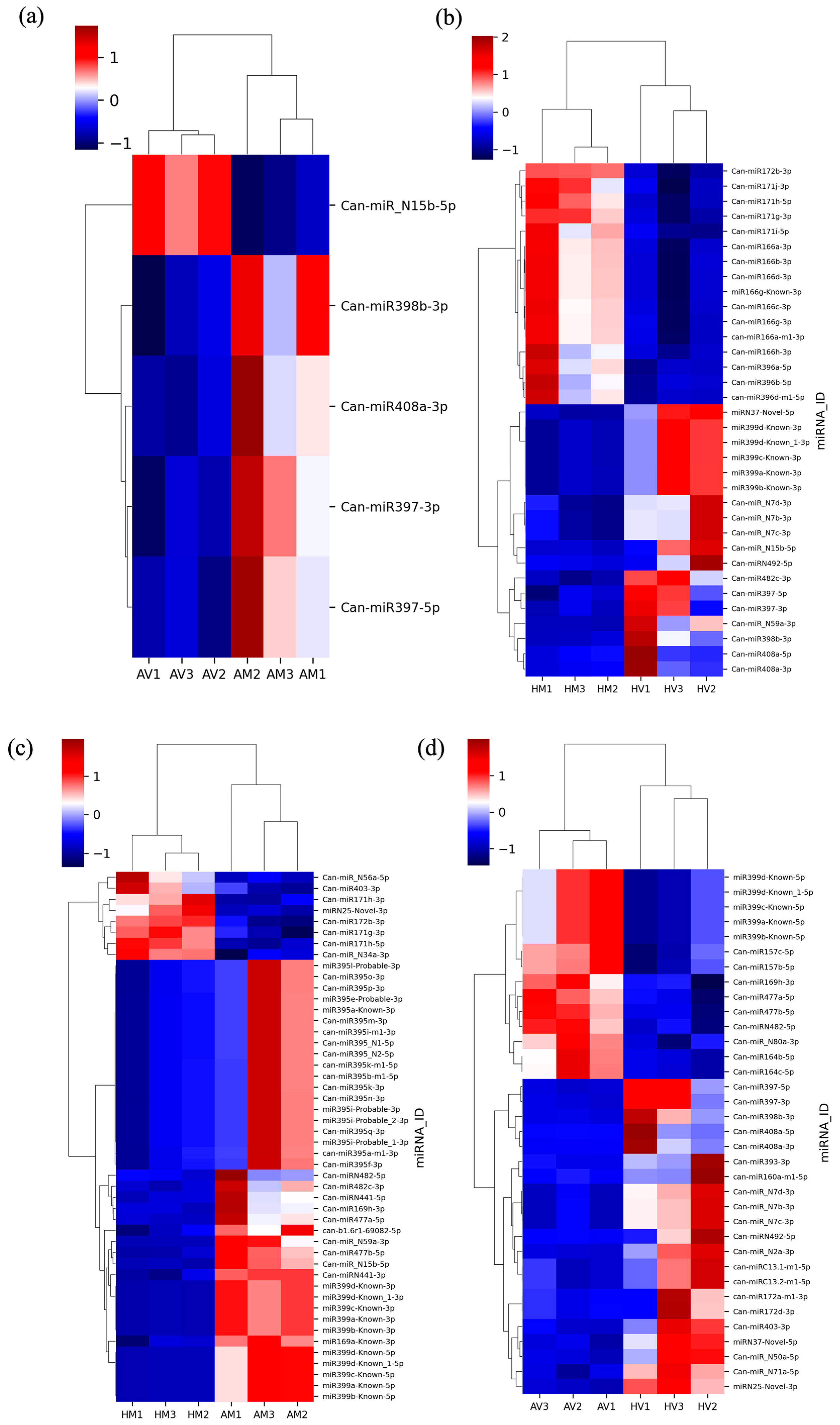 Pathogens 13 00745 g004