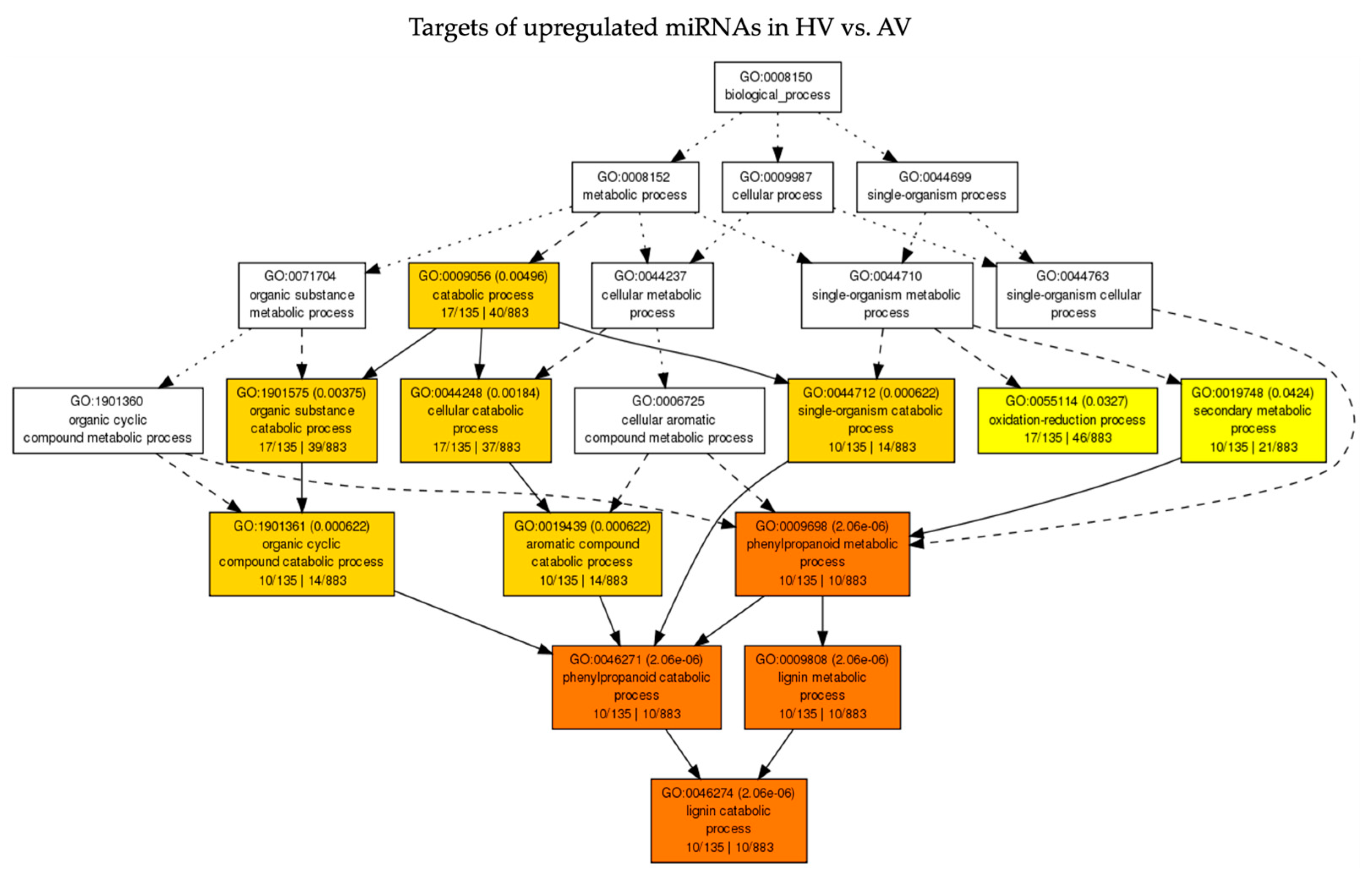 Pathogens 13 00745 g005