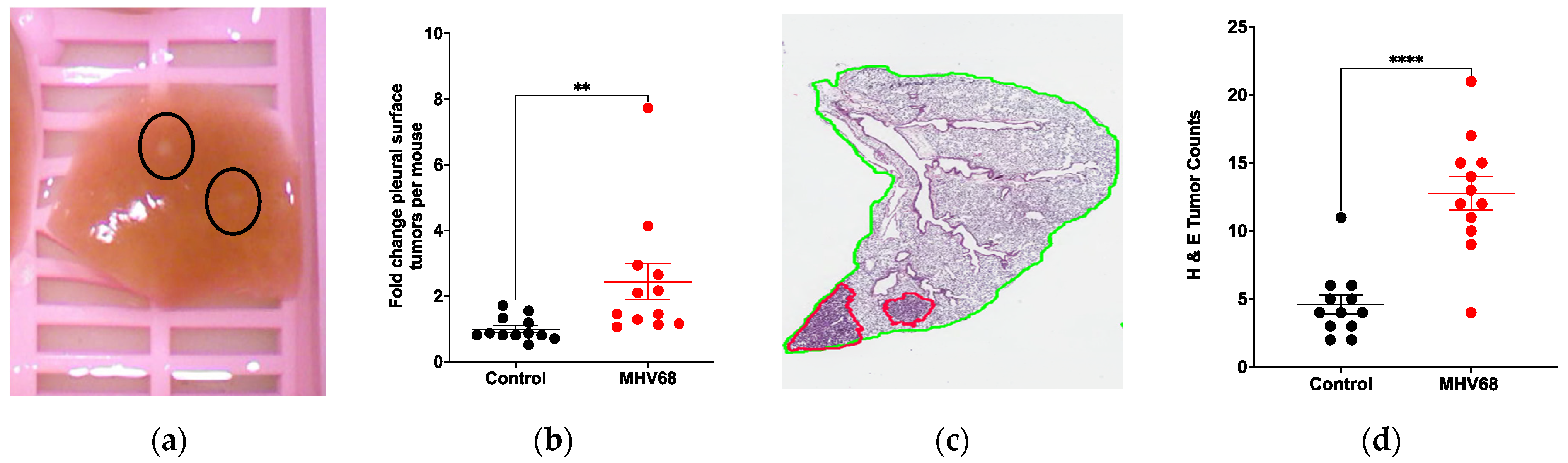 Pathogens 13 00747 g002 Pathogens 13 00747 g002