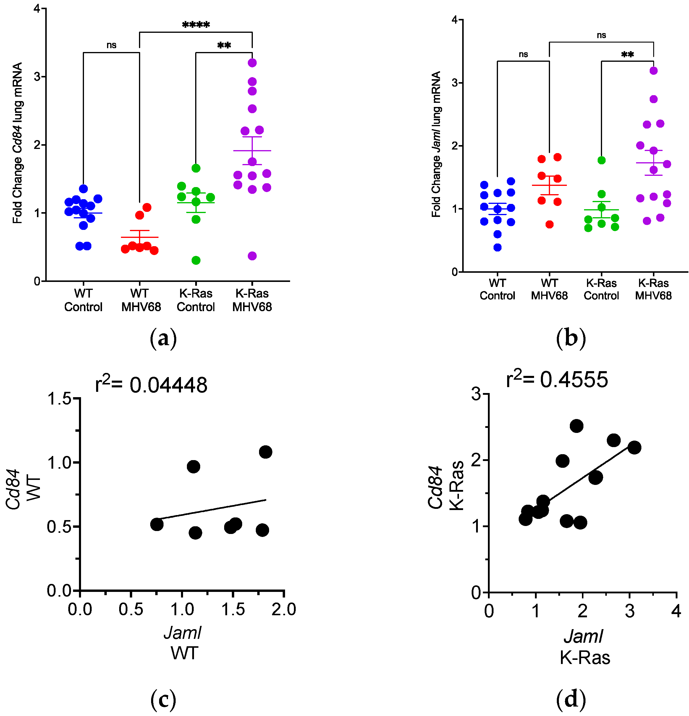 Pathogens 13 00747 g004 Pathogens 13 00747 g004