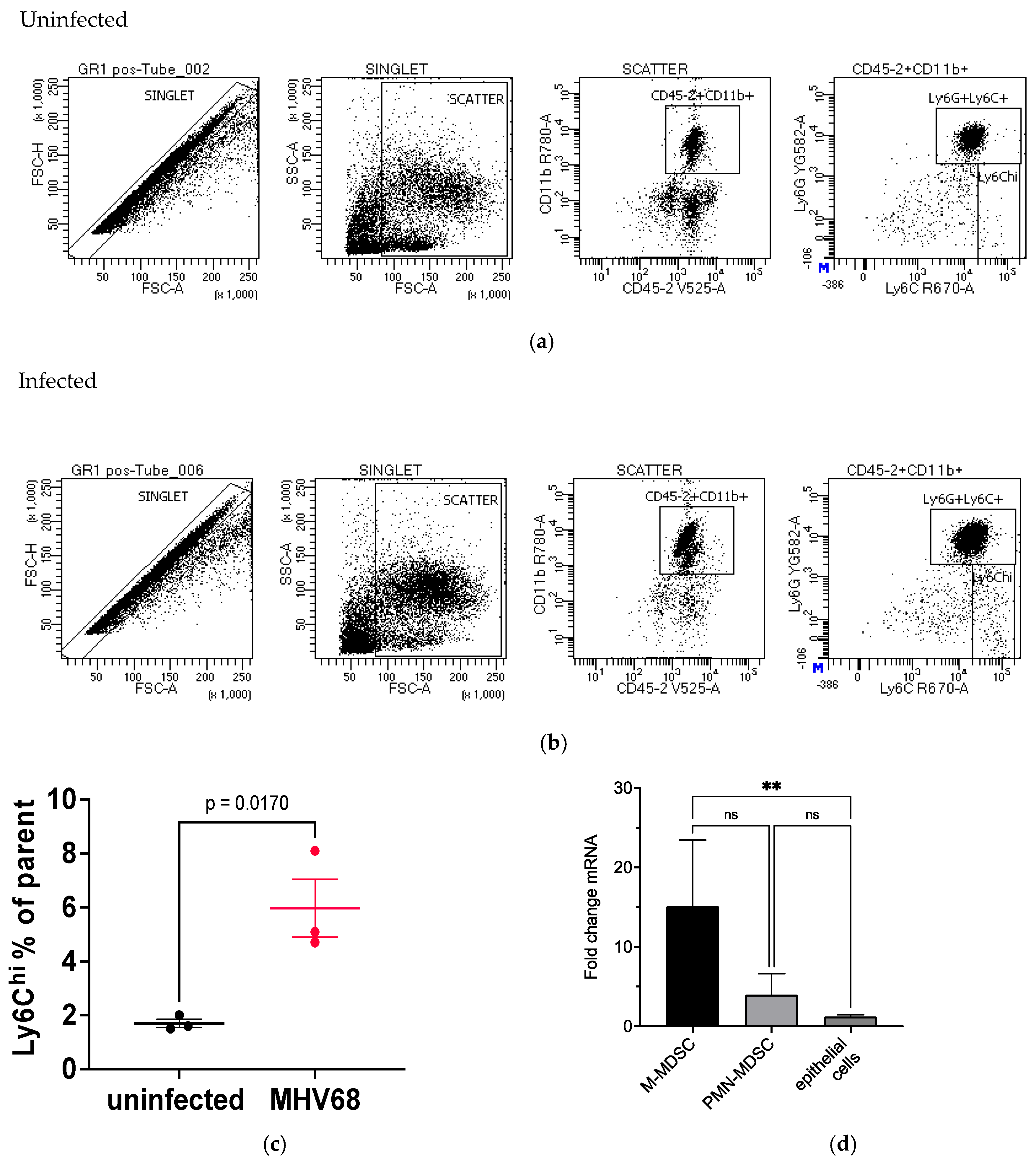 Pathogens 13 00747 g009 Pathogens 13 00747 g009