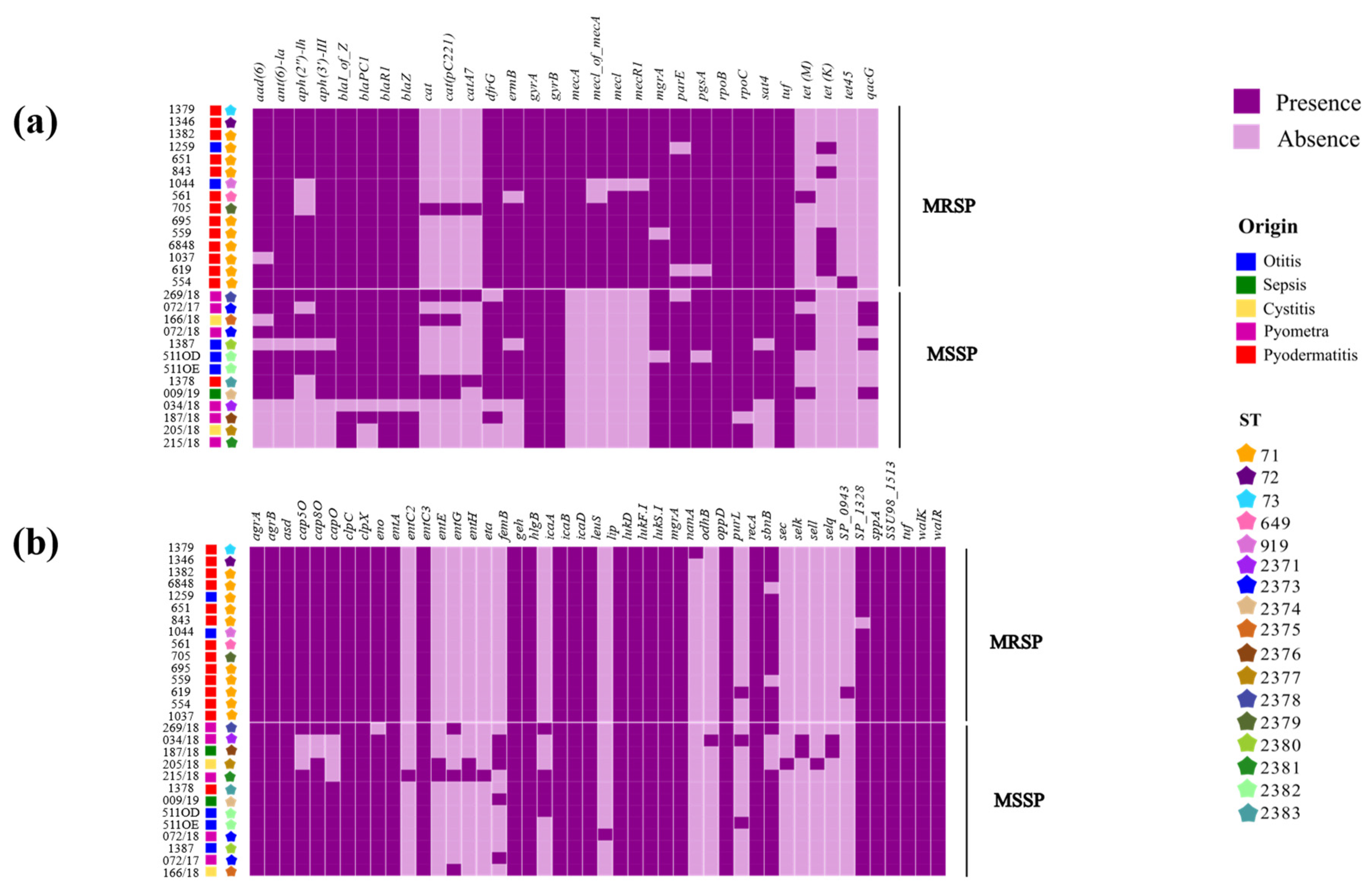 Pathogens 13 00760 g002