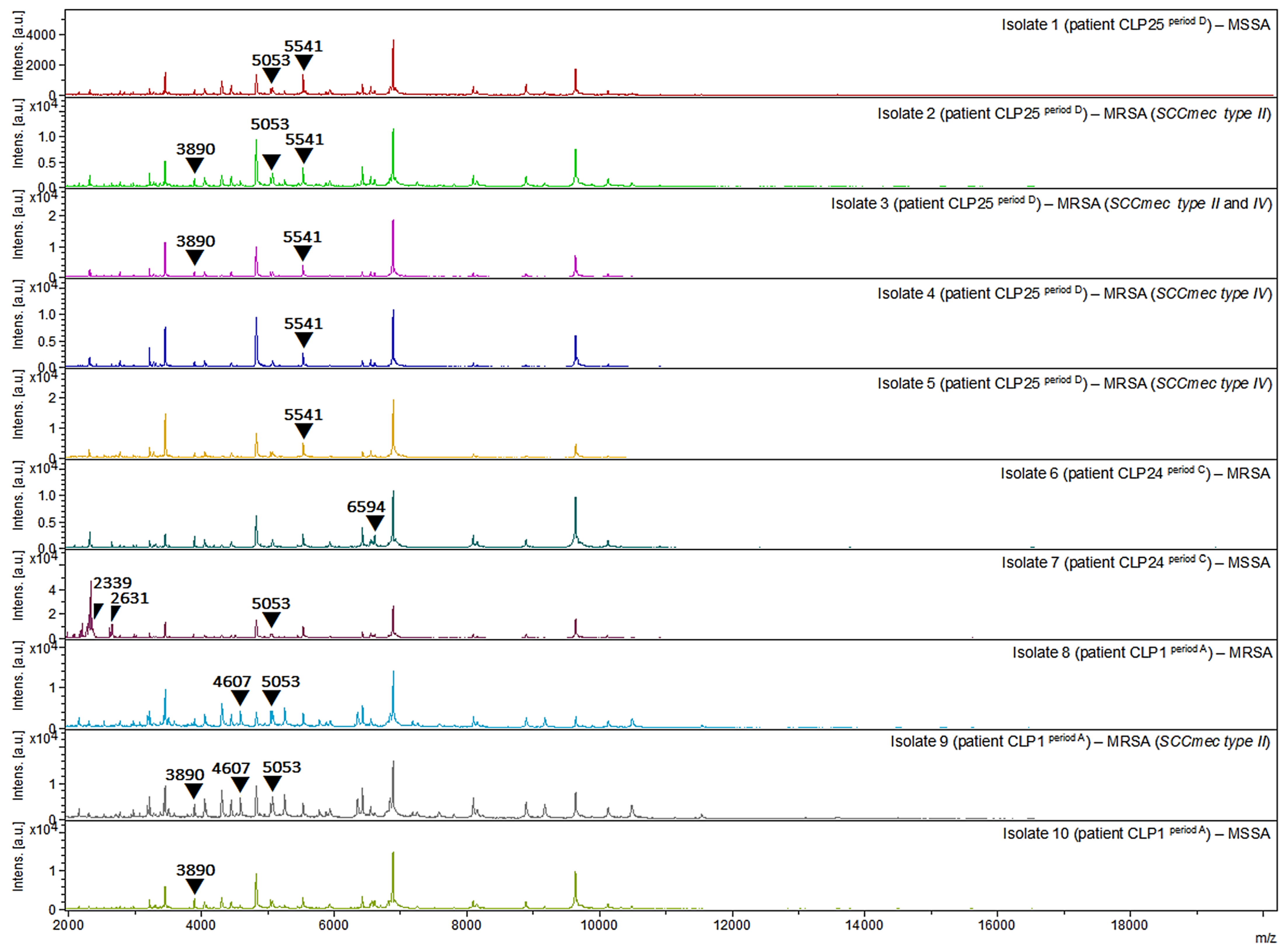 Pathogens 13 00763 g005