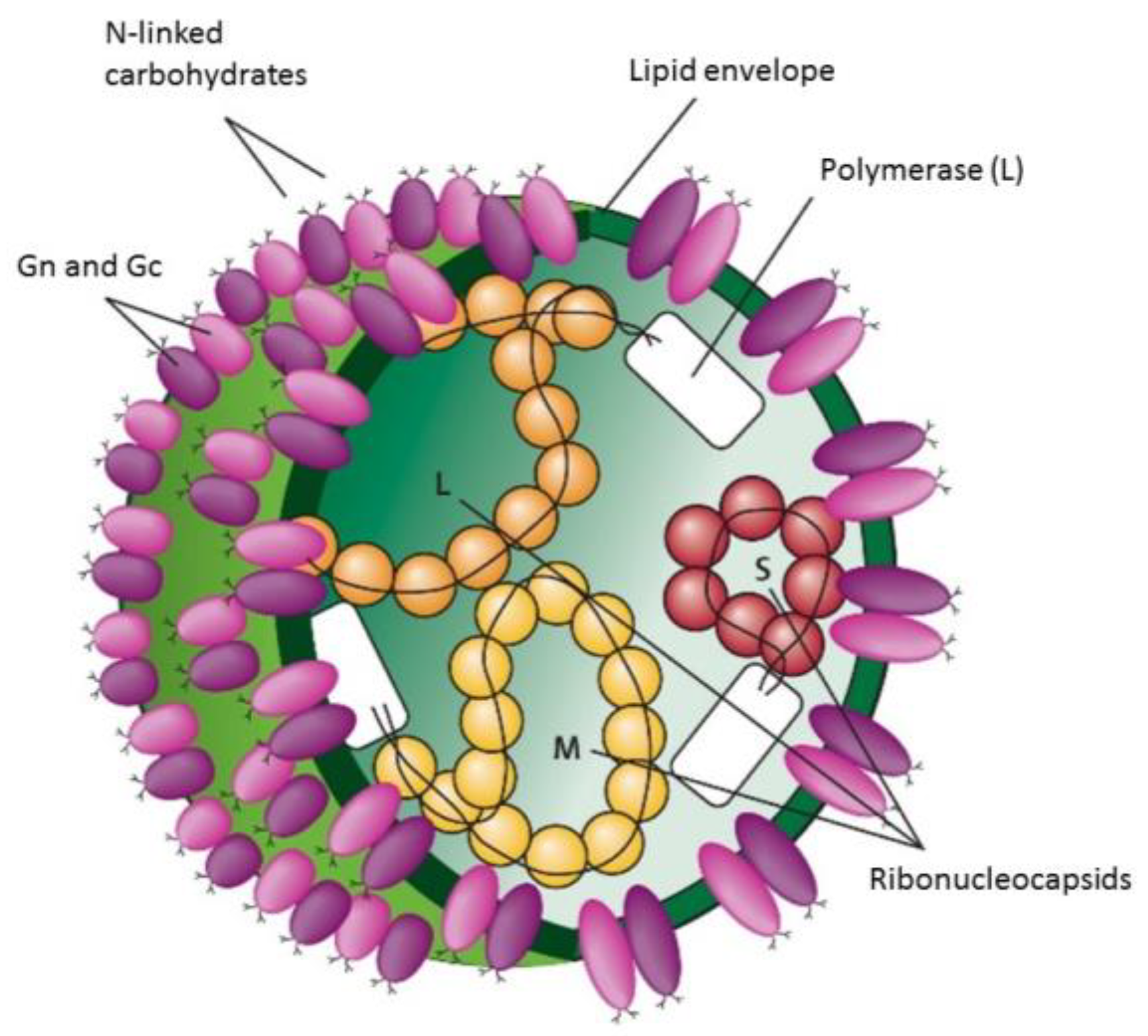 Pathogens 13 00770 g002