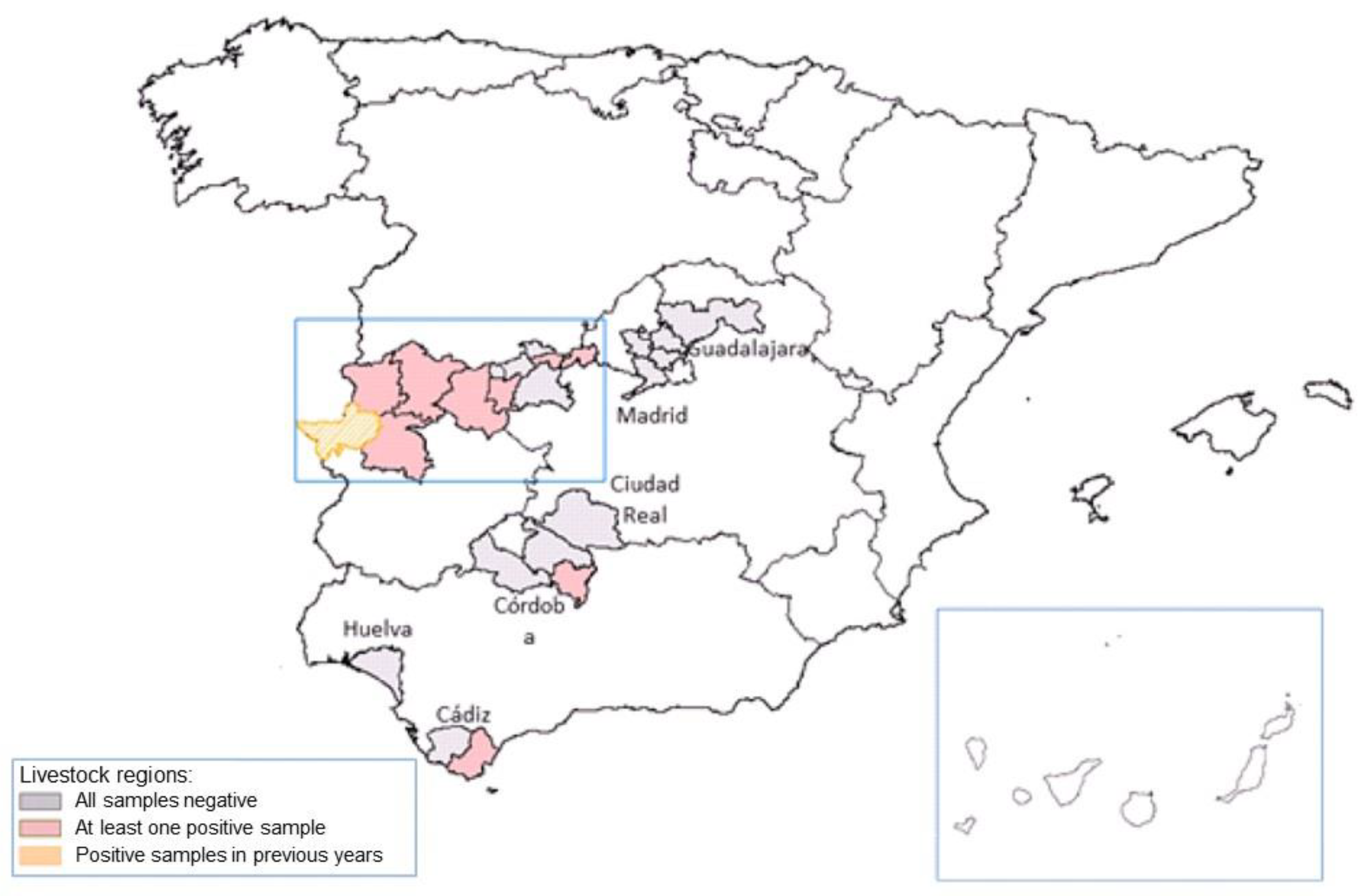 Pathogens 13 00770 g005