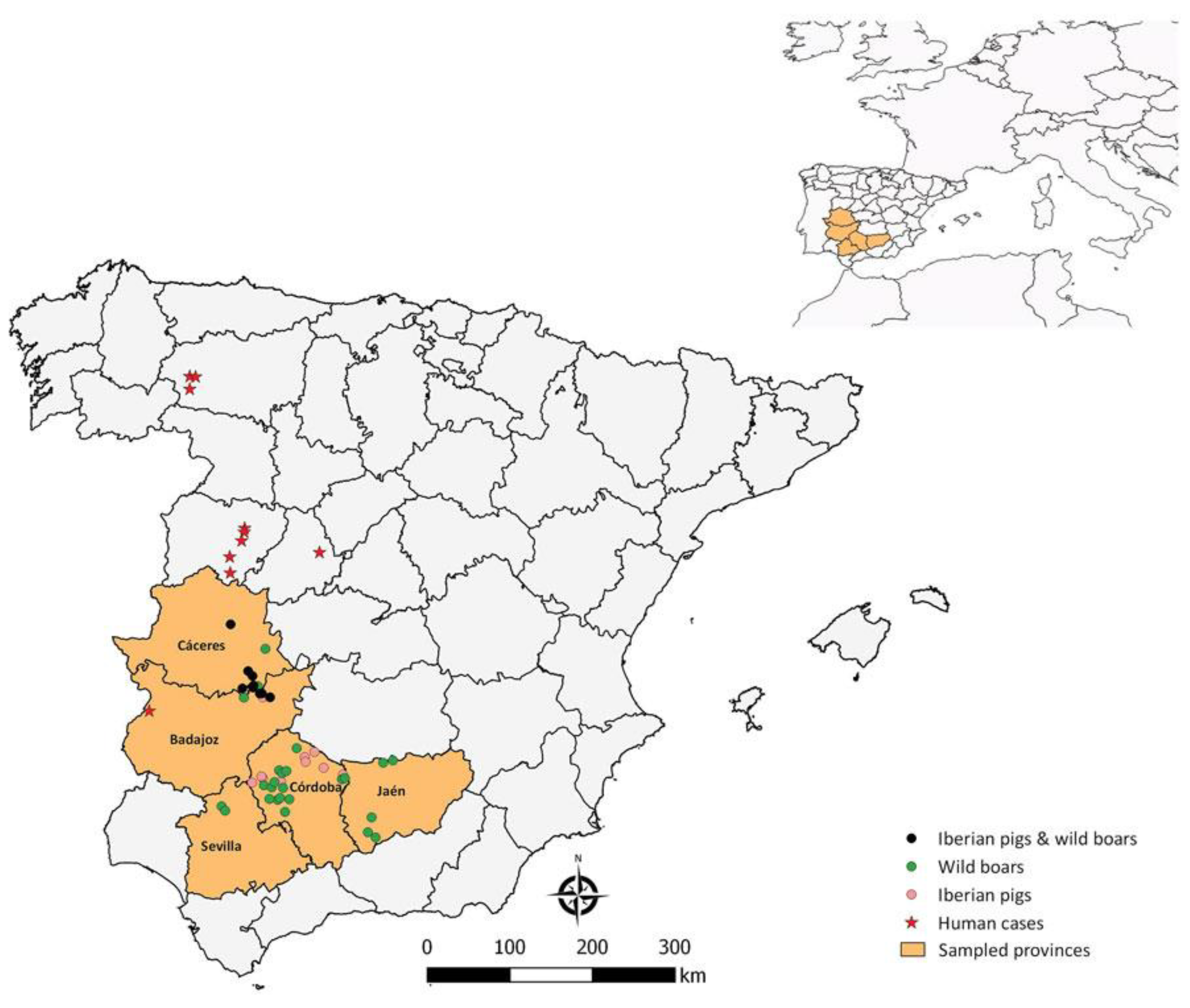 Pathogens 13 00770 g006